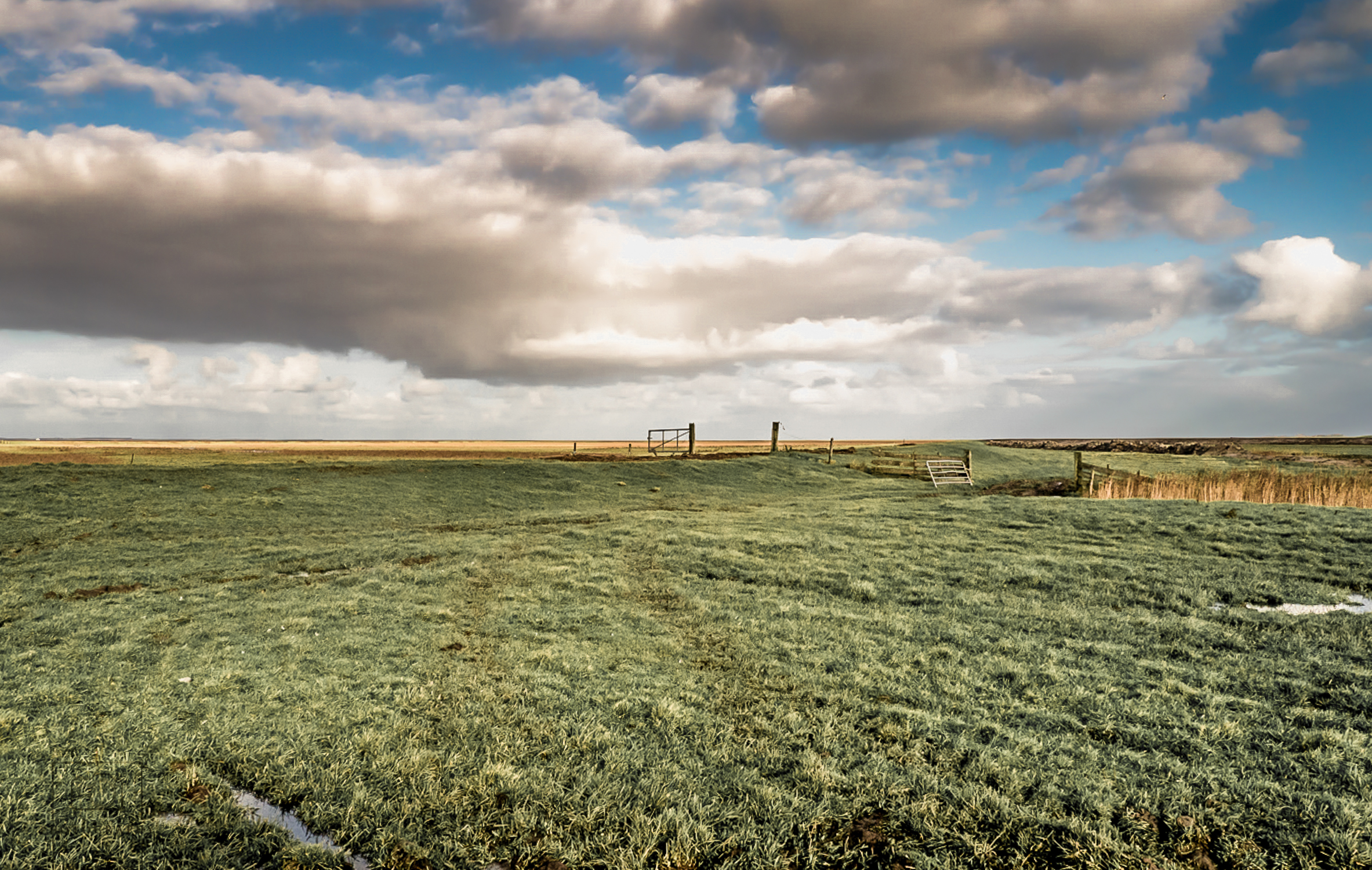noorderleeg-friesland