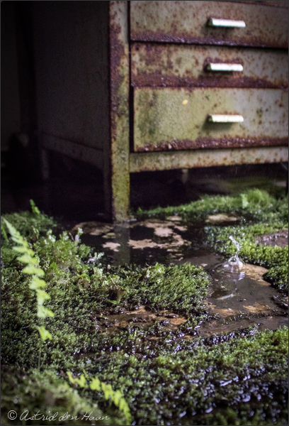 between-old-and-new-0