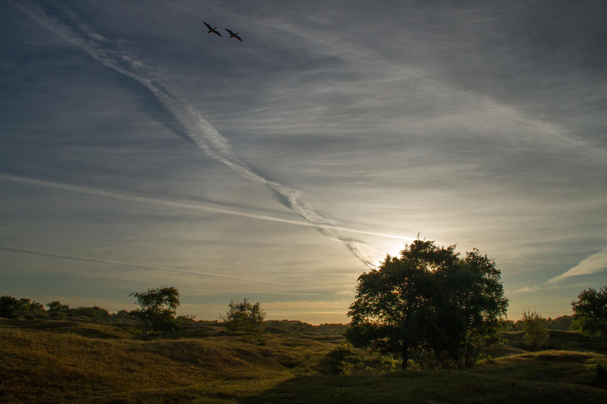 zonsopkomst-in-de-zeepeduinen