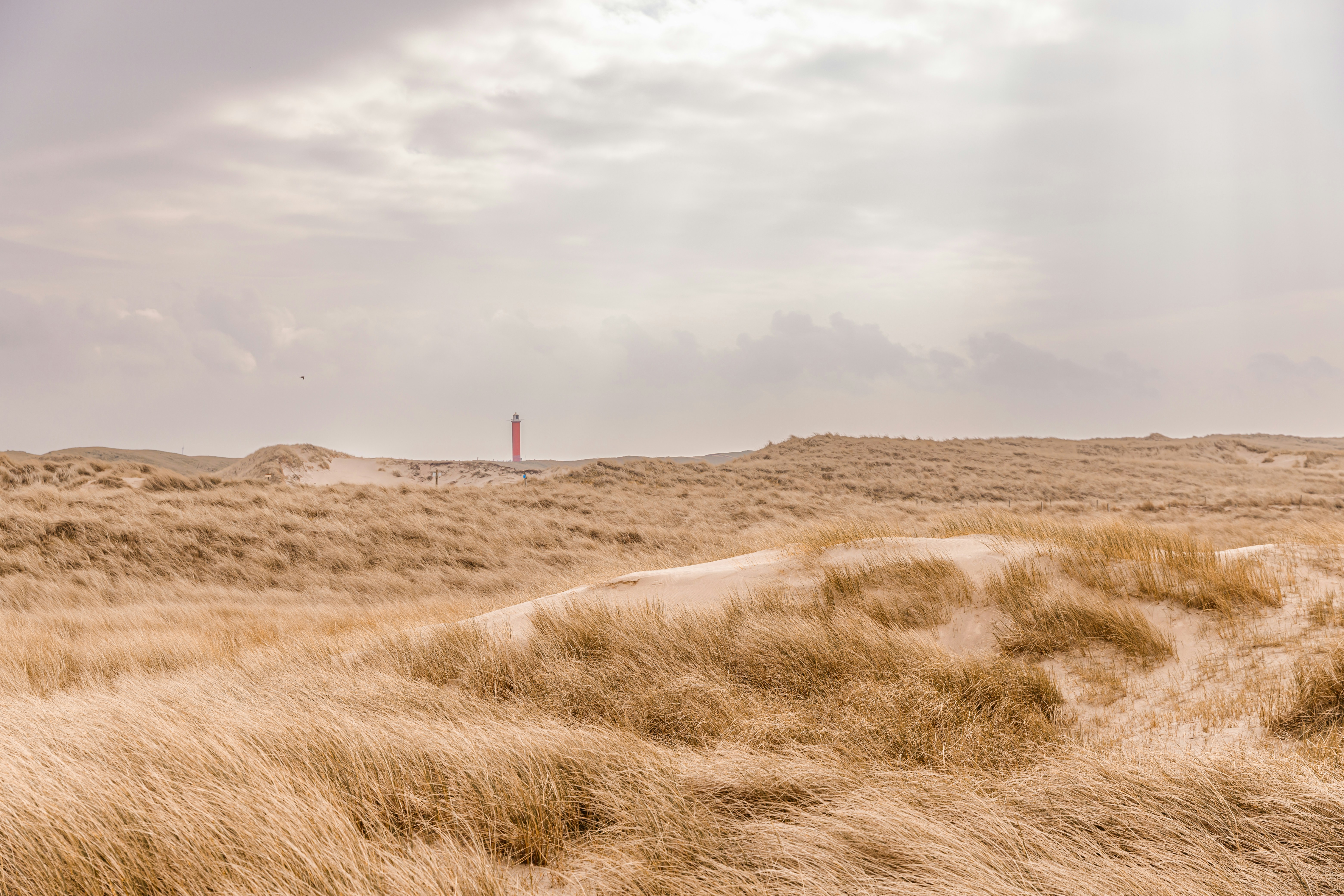 hoe-maak-je-landschapsfotos-tips-voor-starters