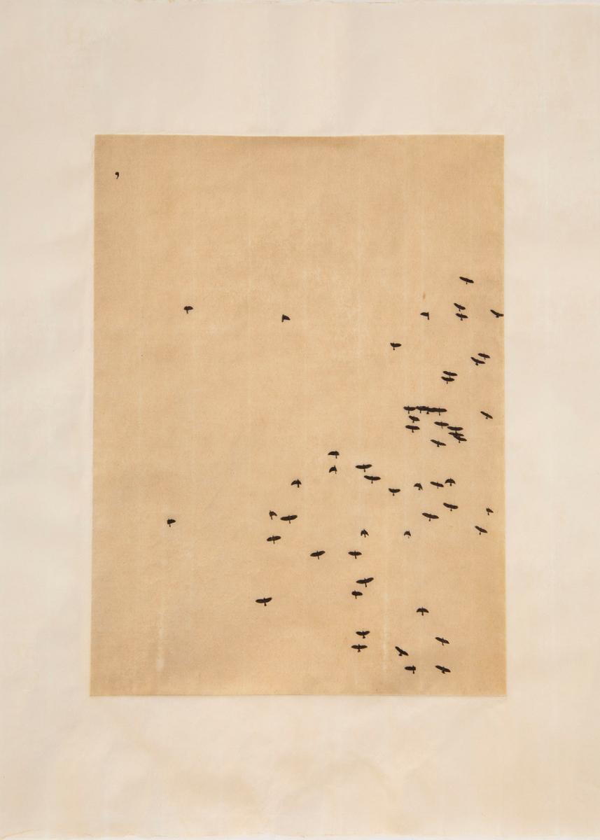 fototentoonstelling-rotterdam-verstilling-leren