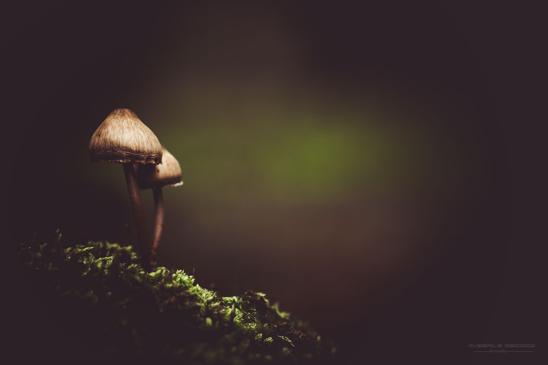 just-the-two-of-us-2