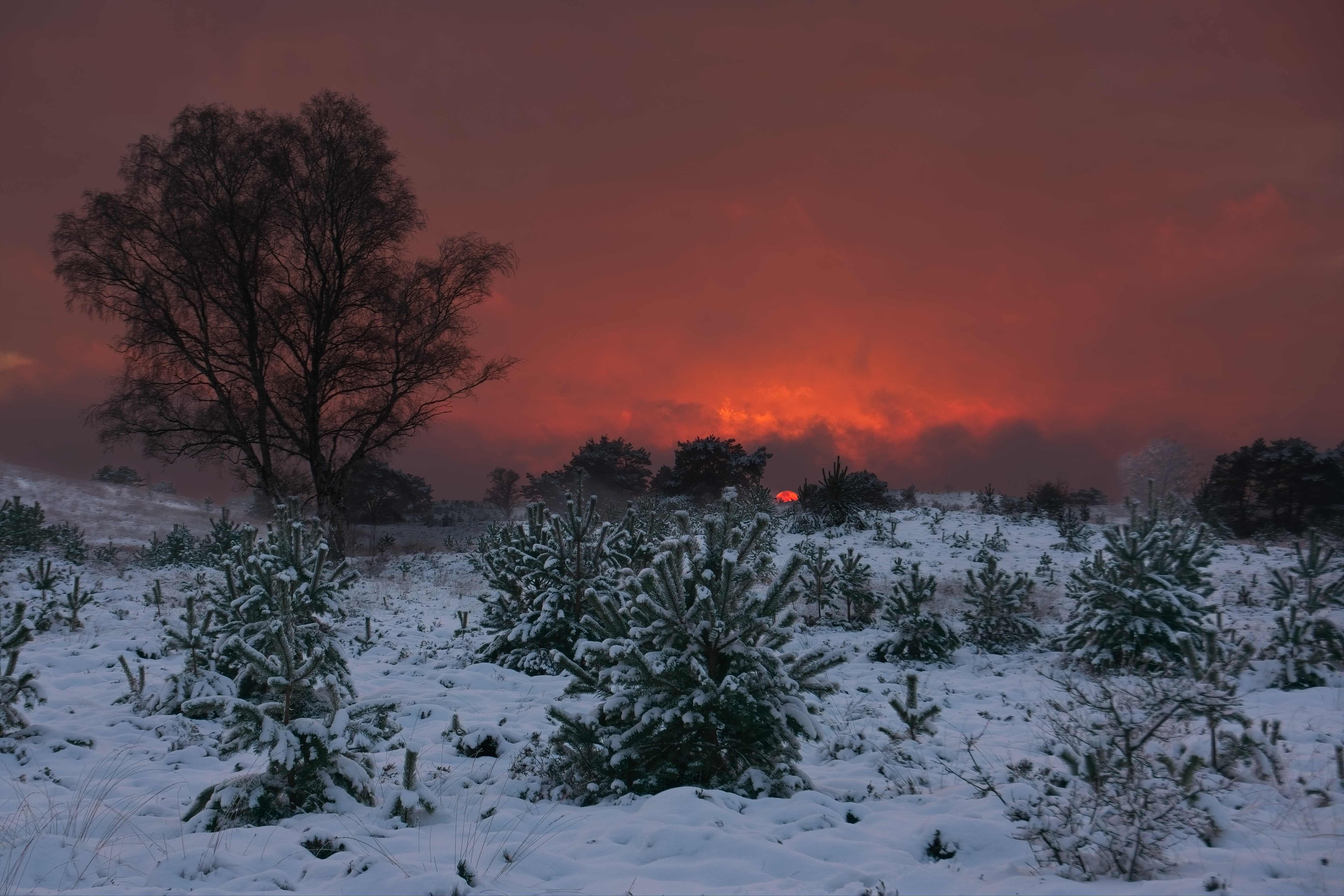 zonsondergang-en-sneeuw