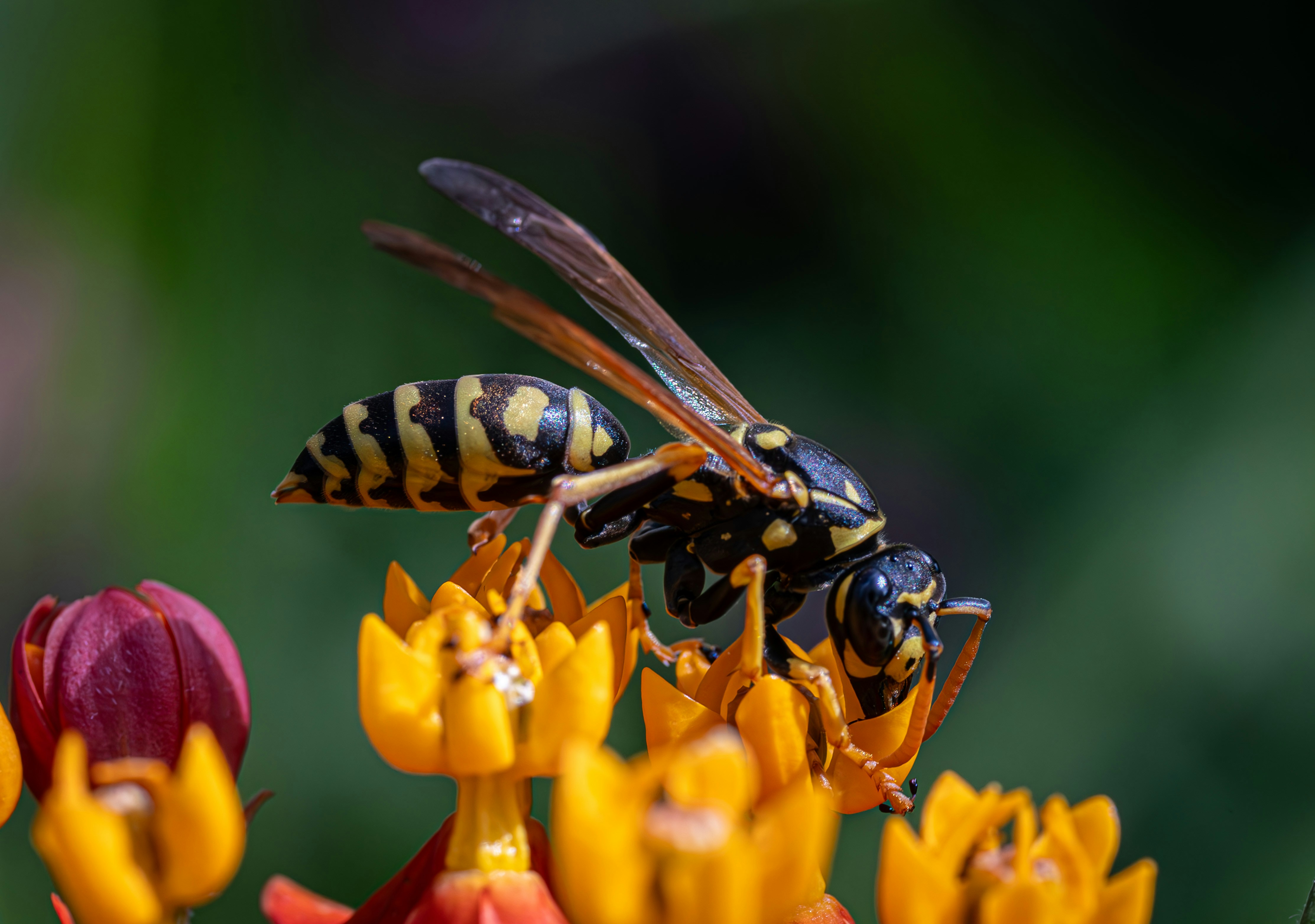 lente-fotografie-tips-werk-met-licht-en-kleur