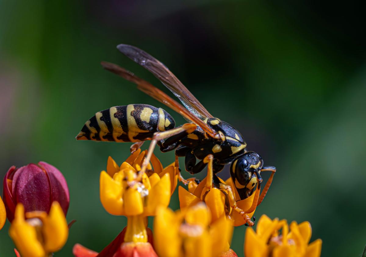 lente-fotografie-tips-werk-met-licht-en-kleur