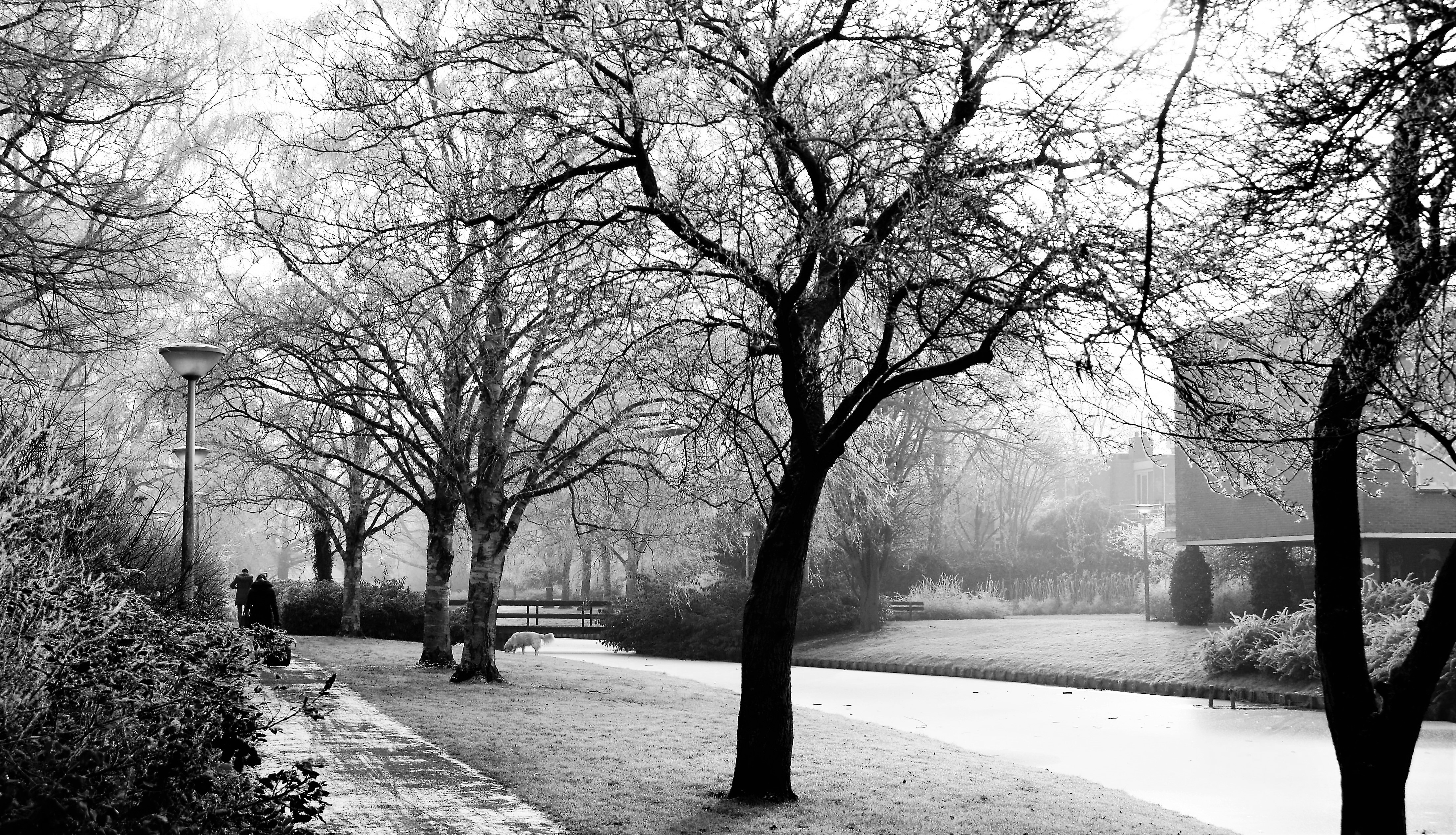 winterfoto-zwart-wit