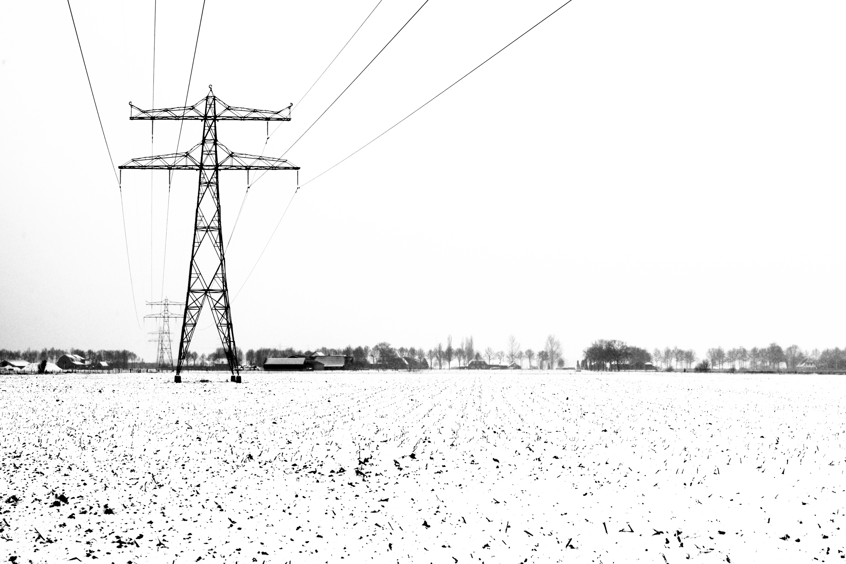 repeterend-in-het-winterlanschap