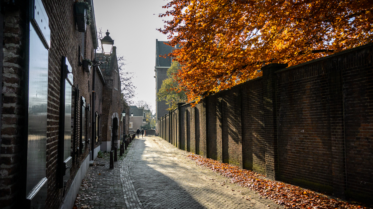 nazomer-in-den-bosch