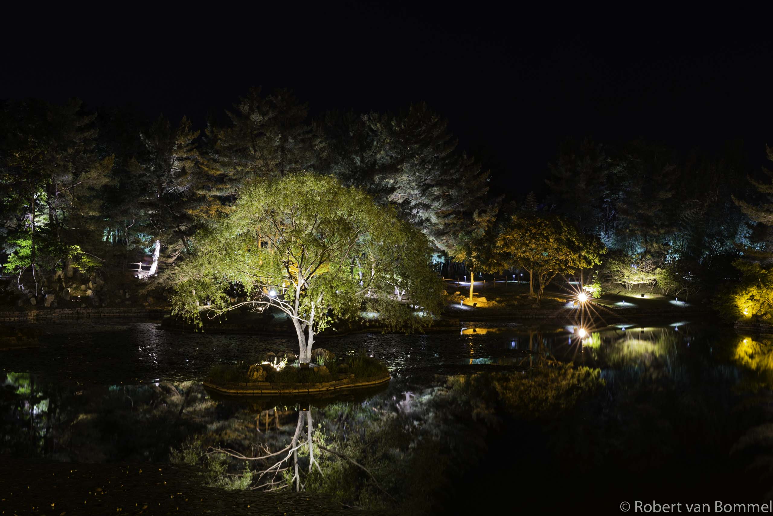 tries-in-the-spotlight