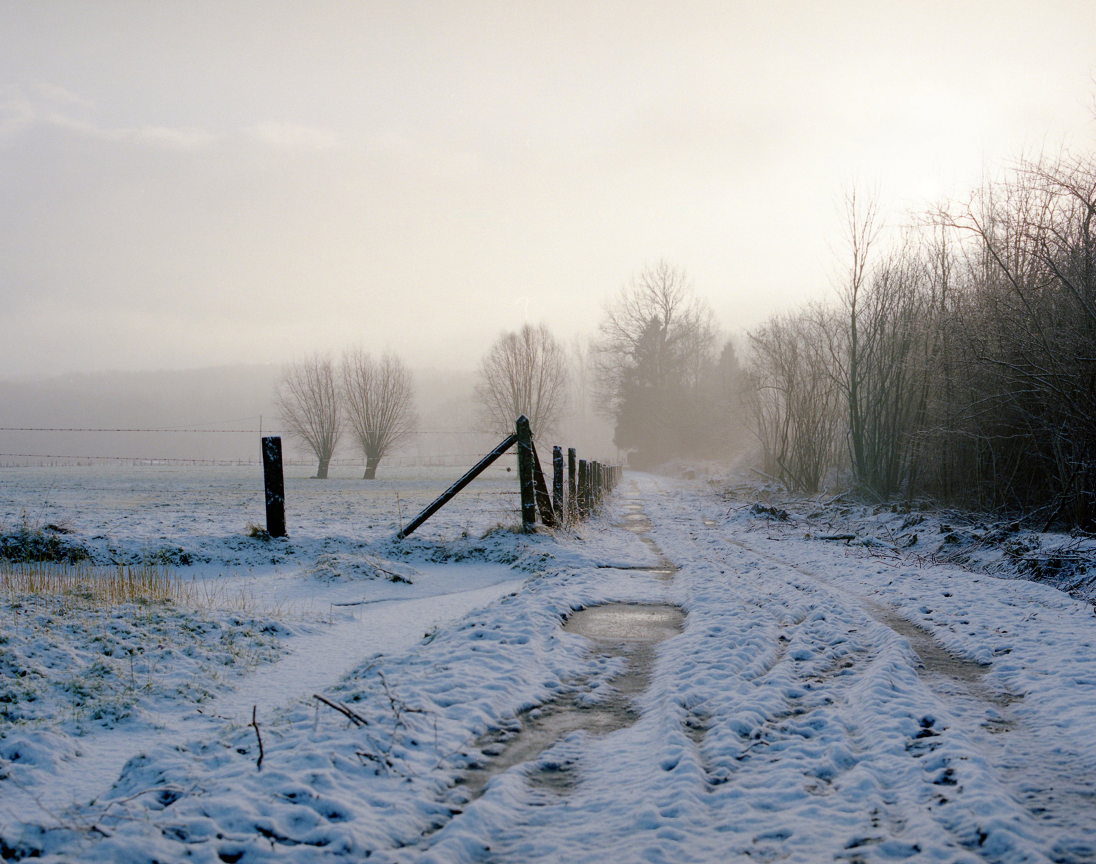 op-een-koude-ochtend-in-de-vlaamse-ardennen