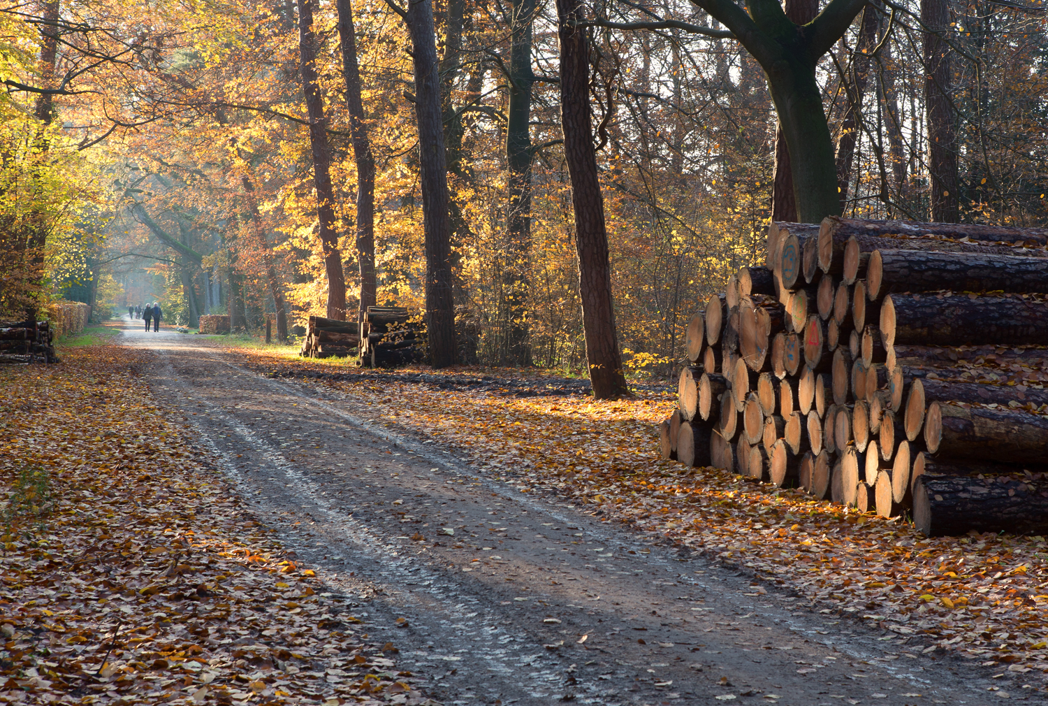 nog-%C3%A9%C3%A9n-keer-genieten