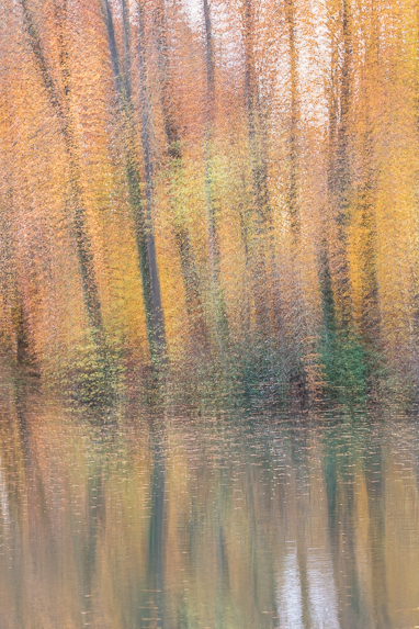 herfst-monet