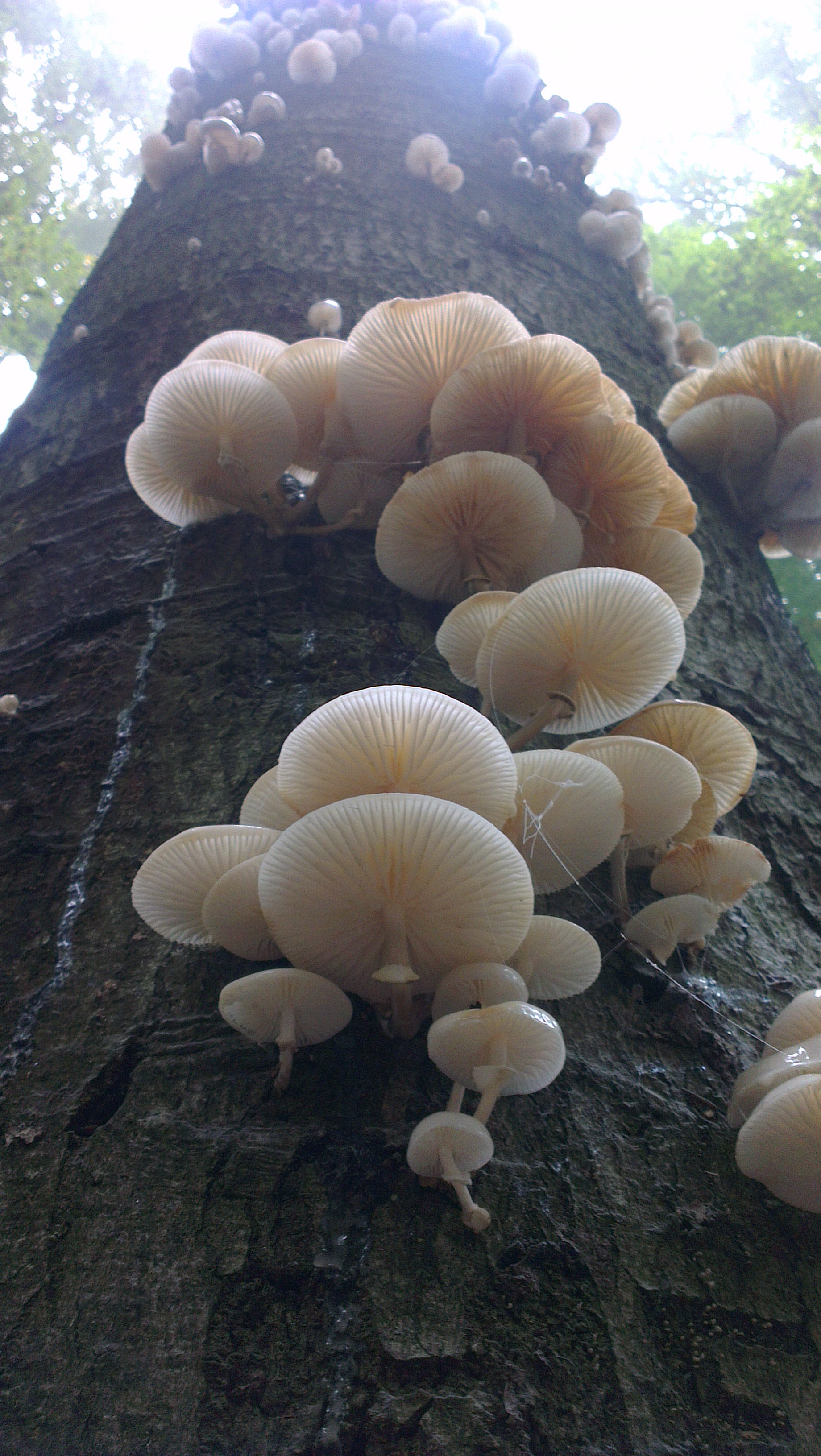 en-zo-klim-ik-naar-boven