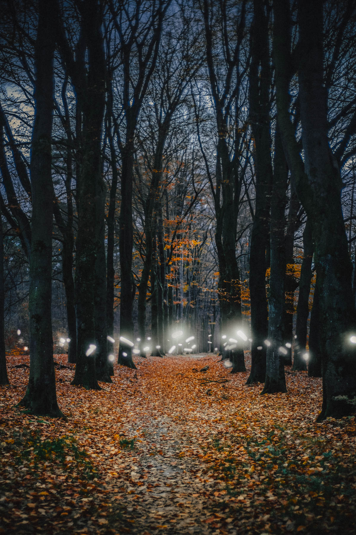 ephemeral-energy-between-life-and-death