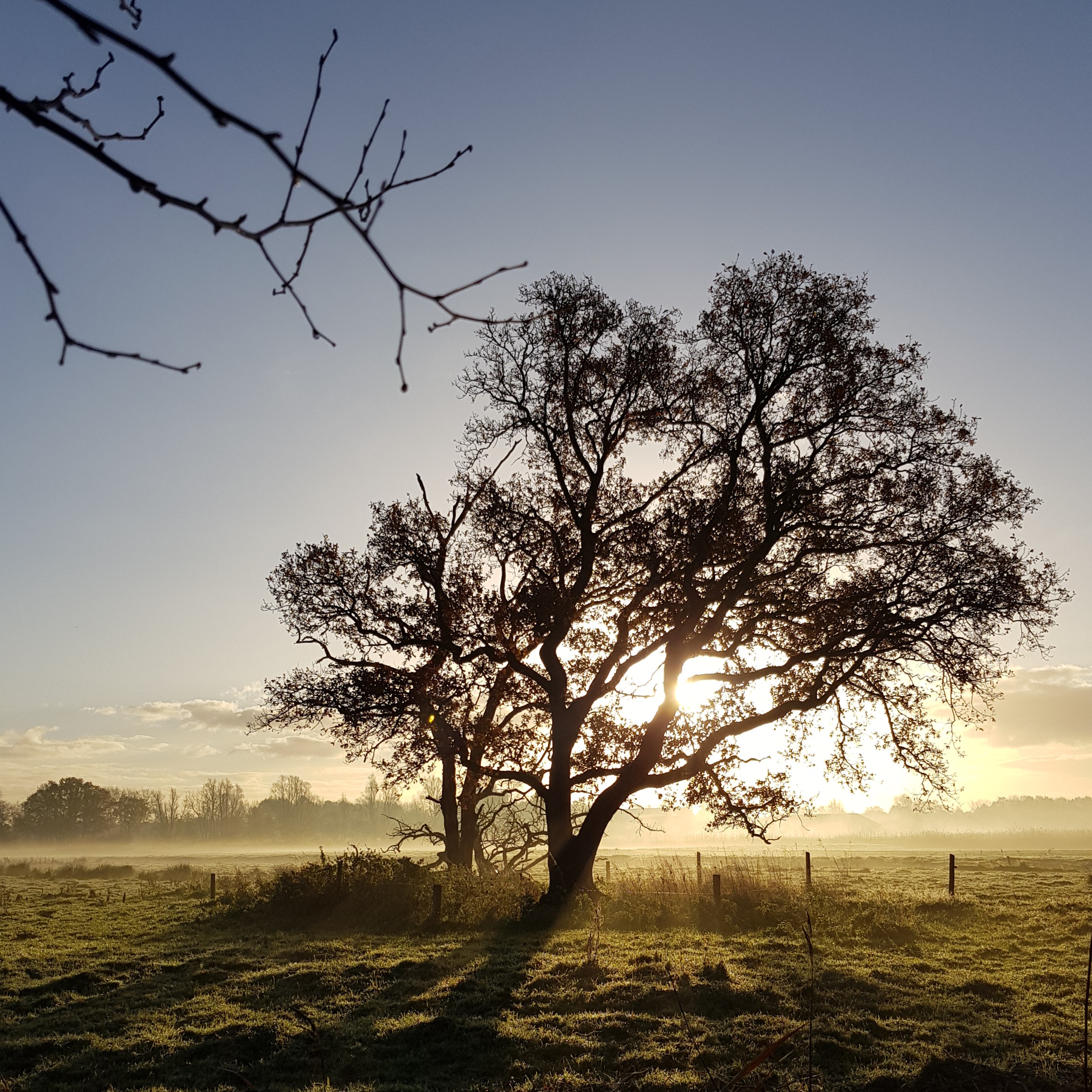ochtend-bij-het-naardermeer