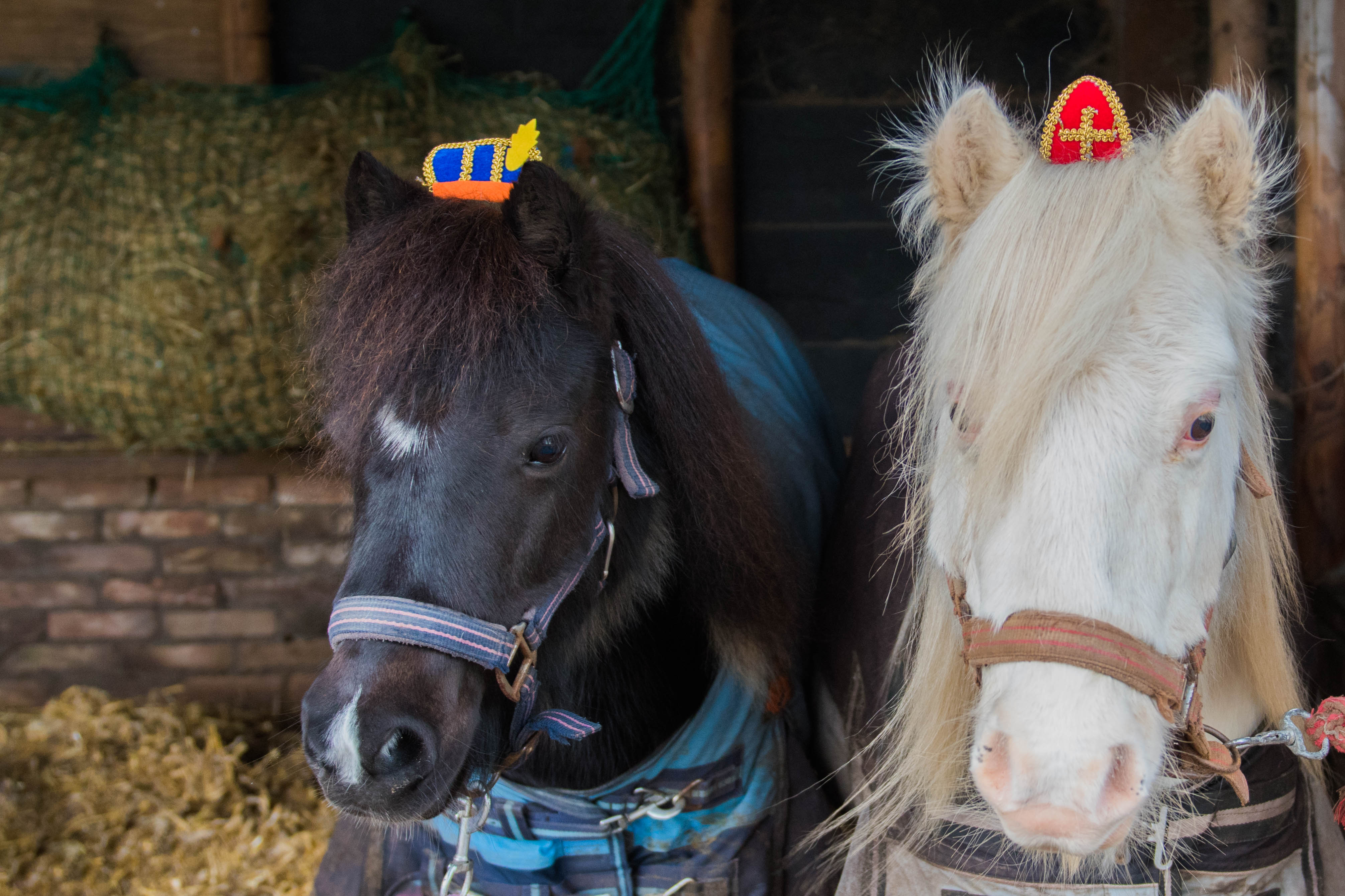 zwarte-piet-britt-en-sinter-jennie