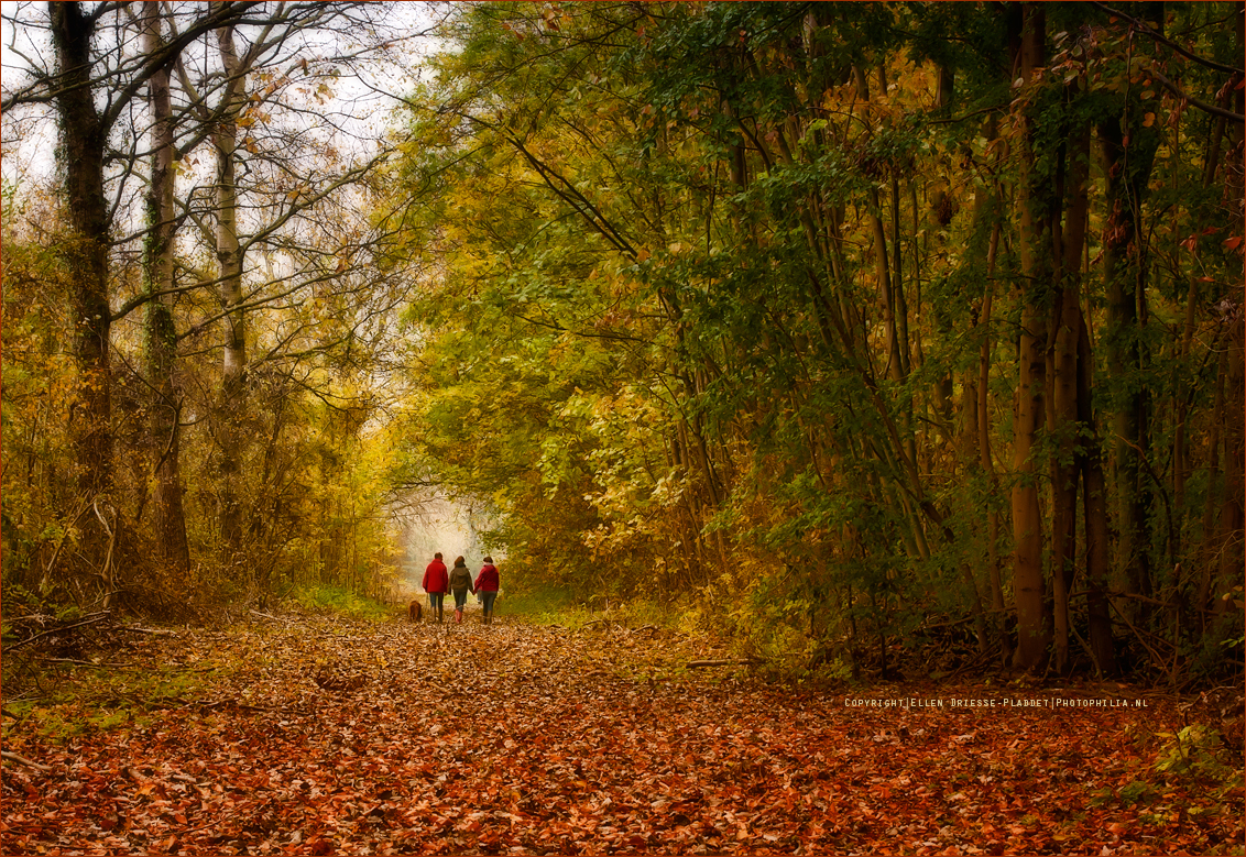 herfstwandeling-5