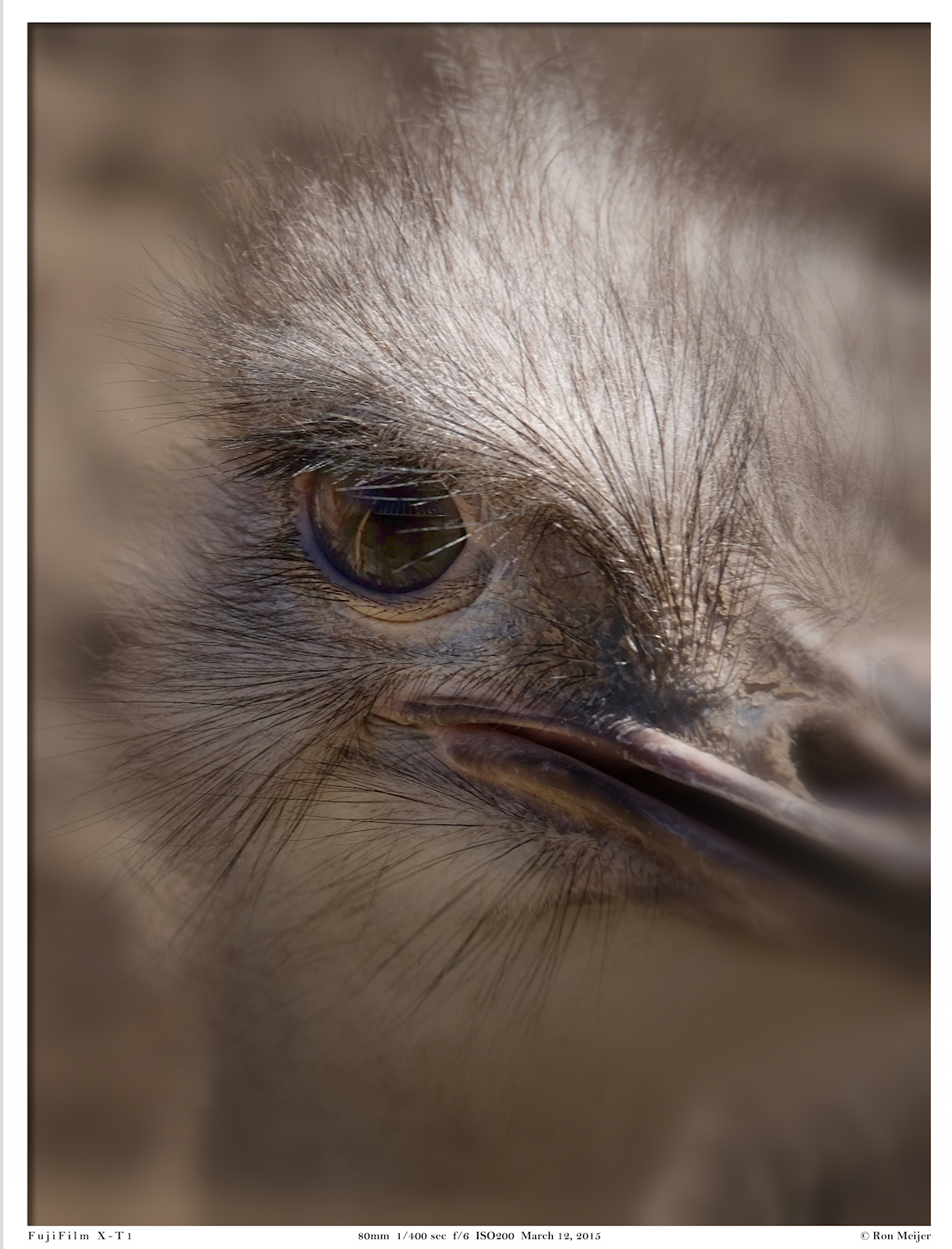 hey-not-so-close-this-is-my-private-space