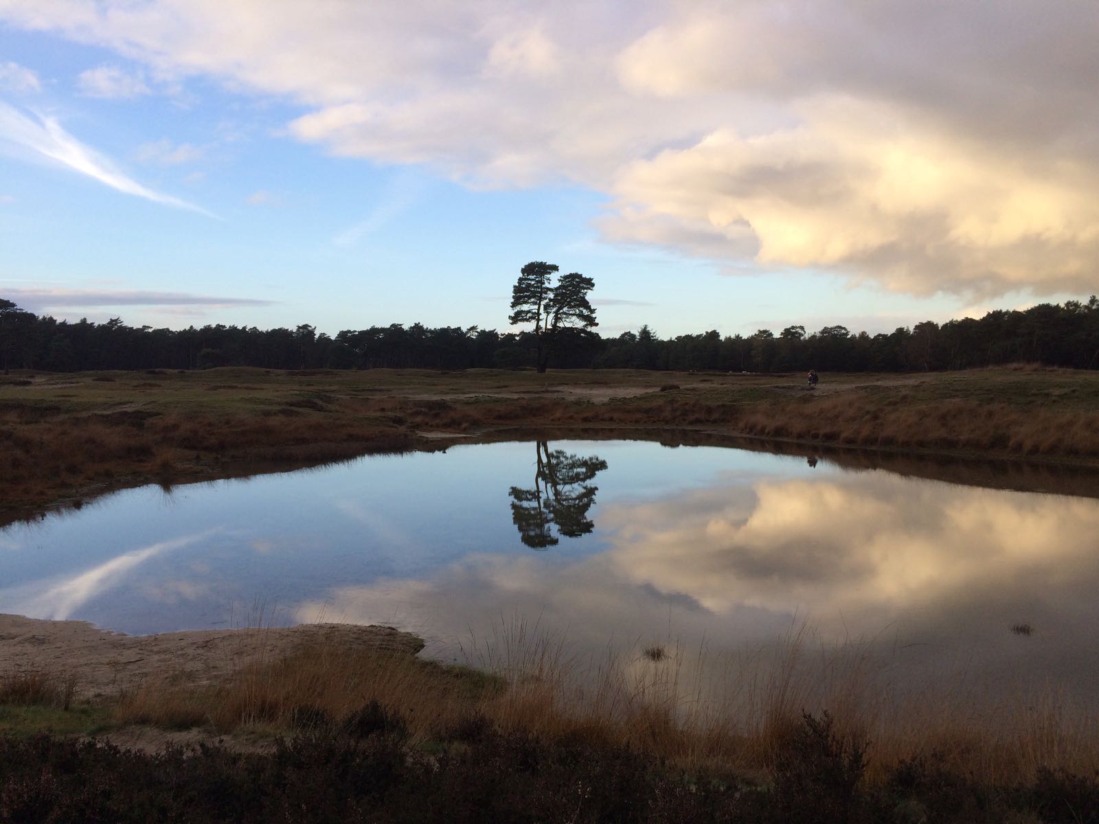 schemering-bij-heidestein