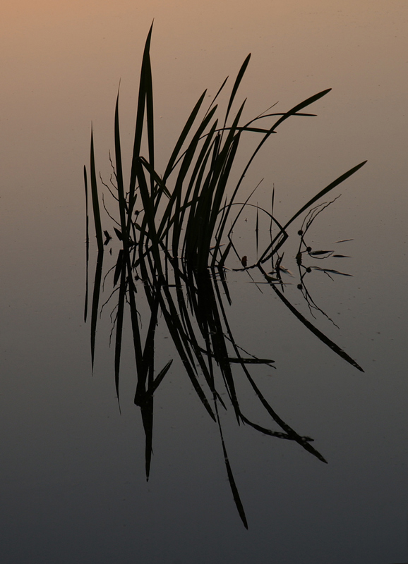 spiegeltje-in-het-water