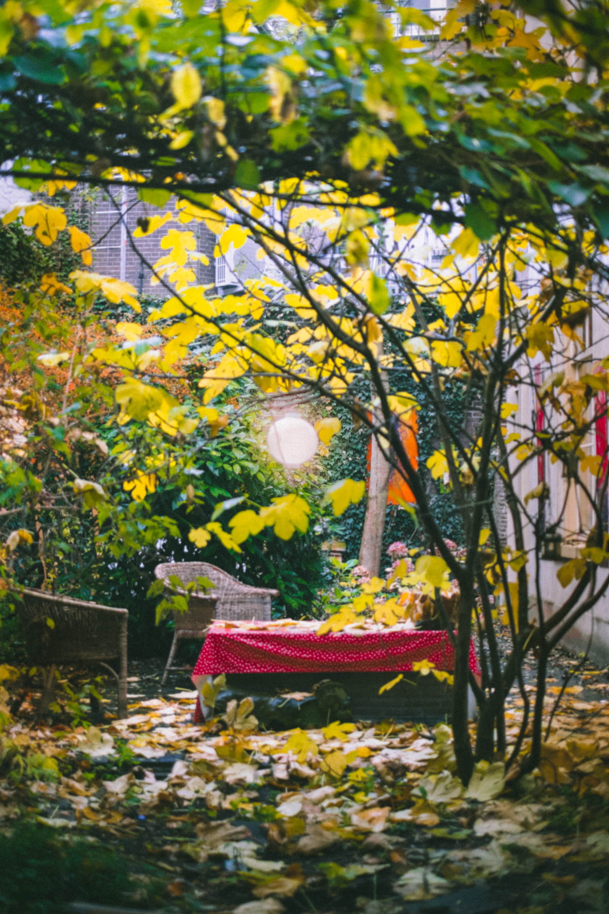 golden-light-in-secret-garden