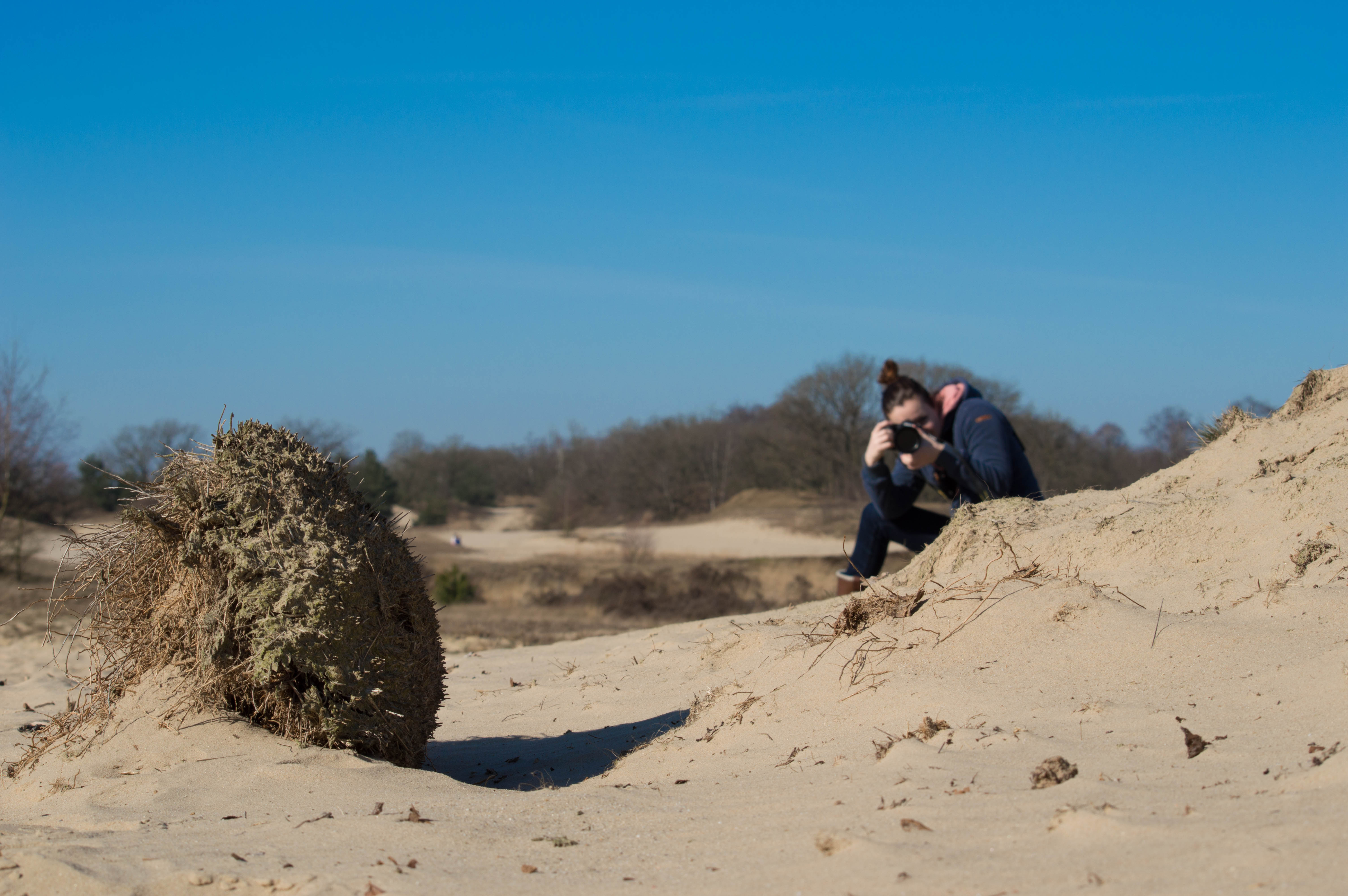 de-eerste-lentedag-2015