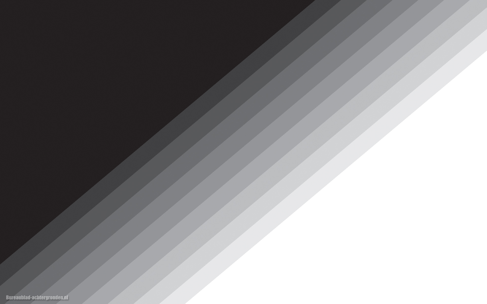 studio-een-witte-achtergrond-drie-unieke-stijlen