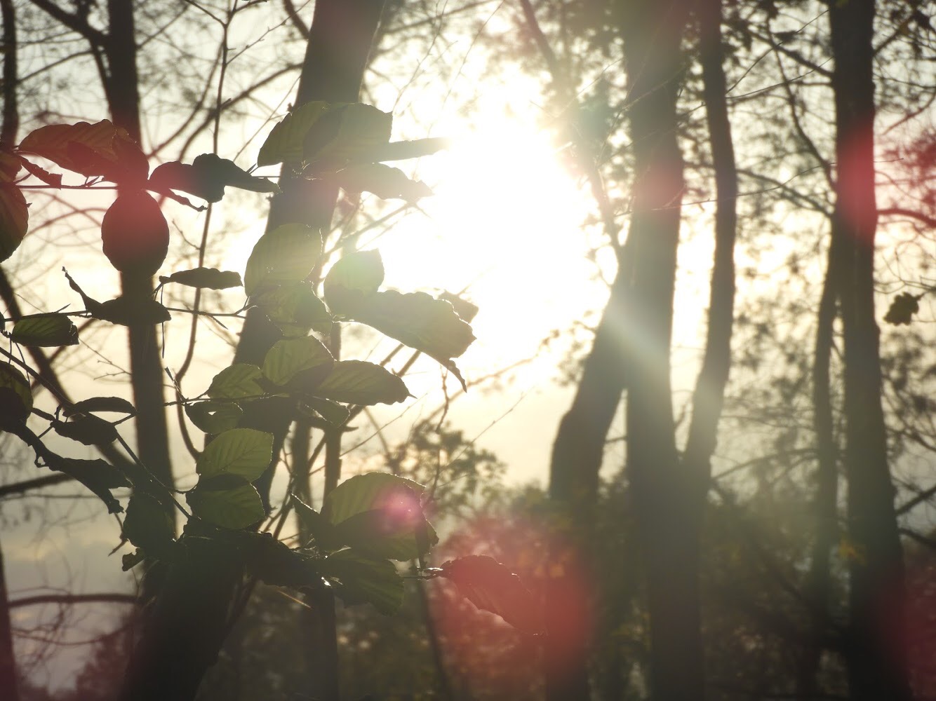 here-comes-the-sun-3