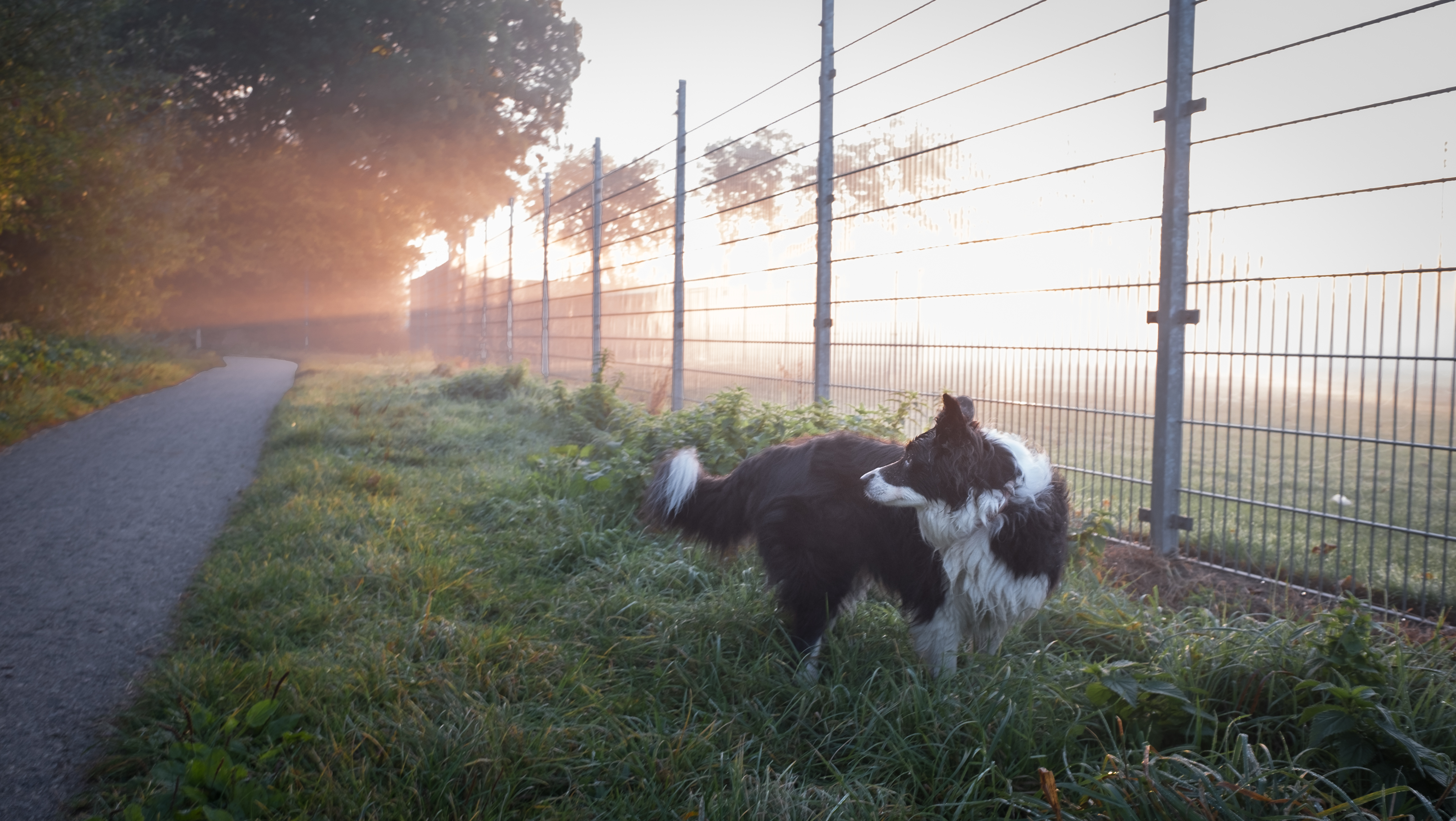 na-een-eerste-koude-nacht