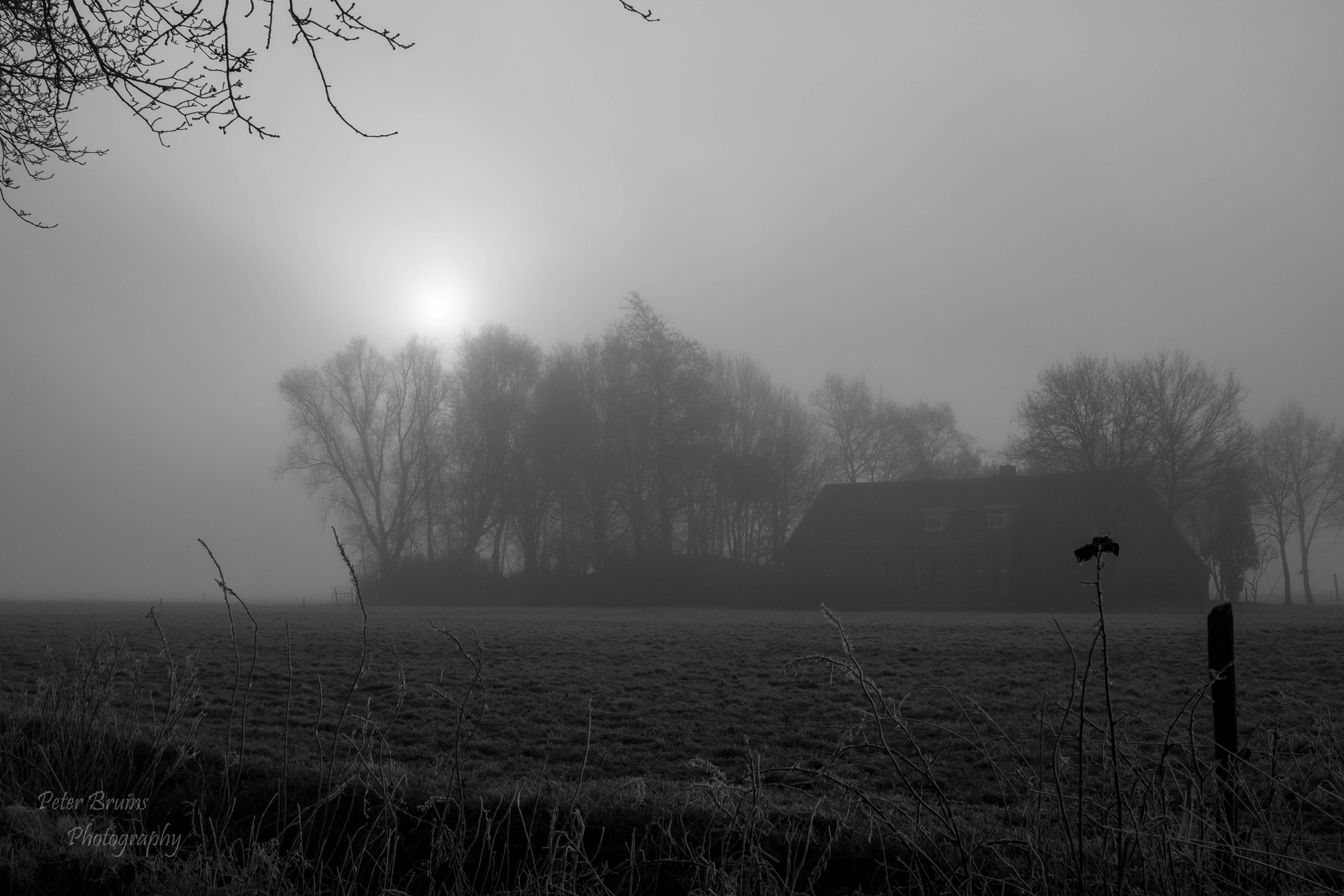boerderij-bij-mist