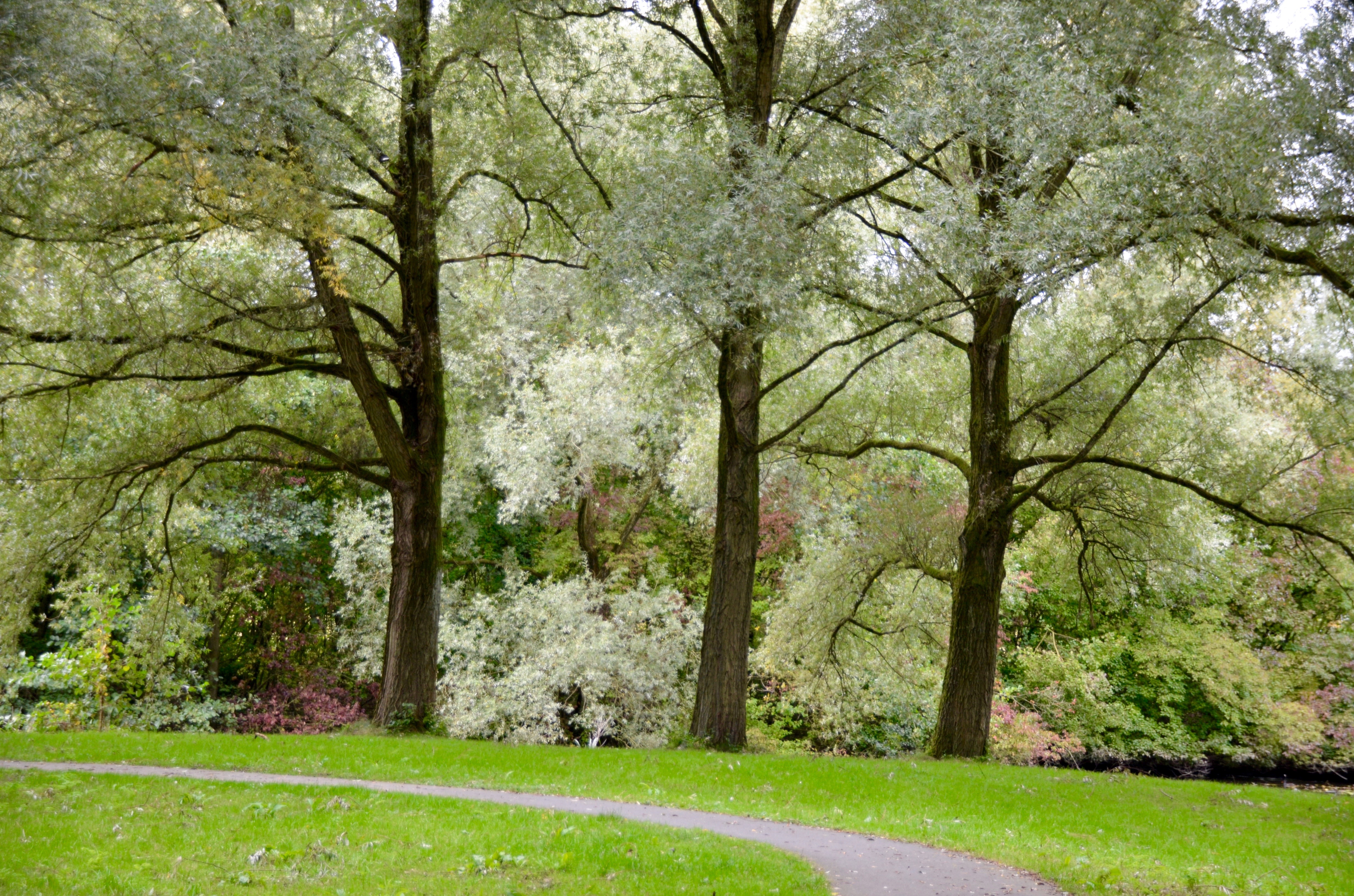 herfstkleuren-op-de-eerste-dag-van-de-herfst