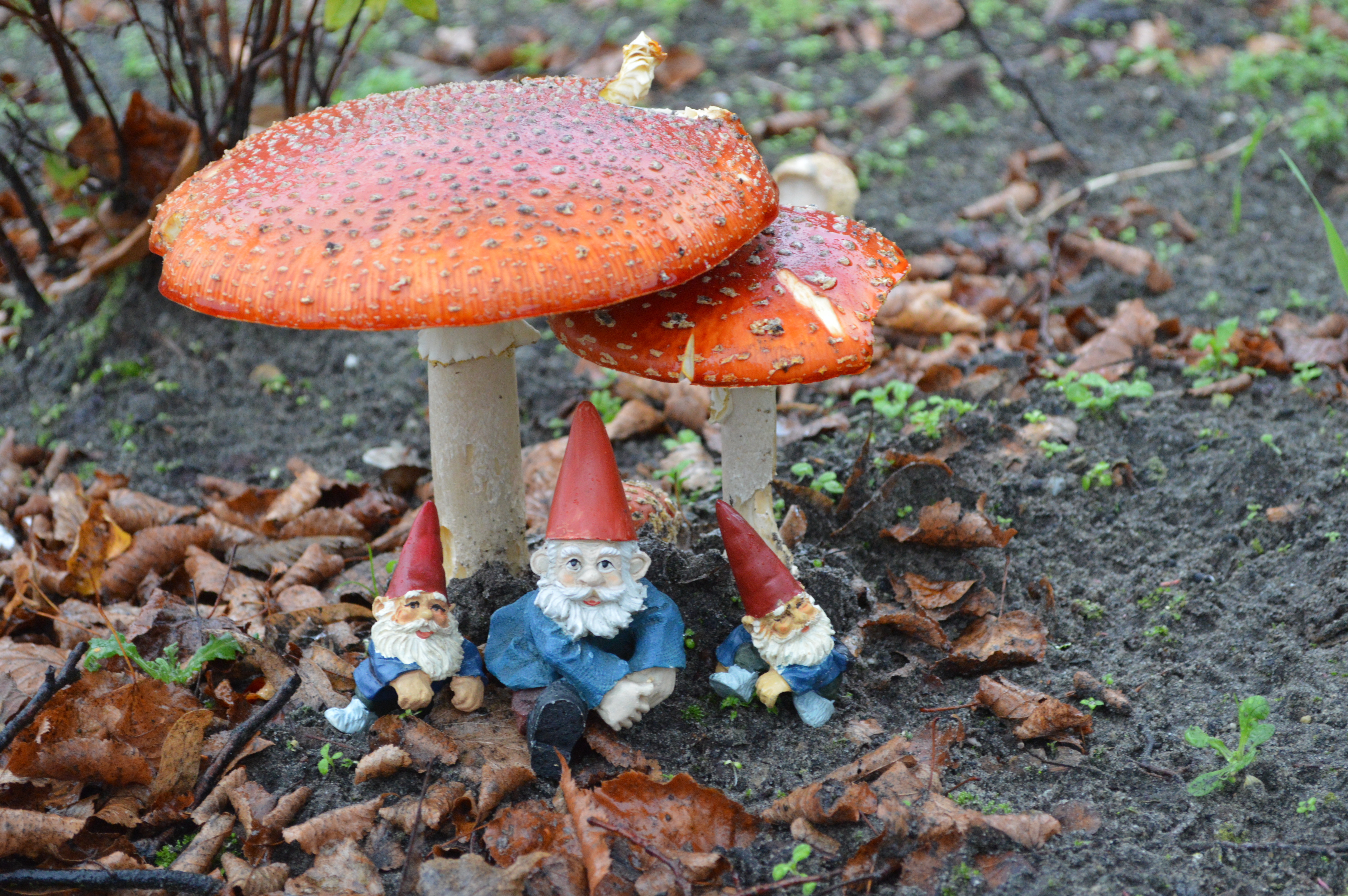 zitten-we-hier-droog