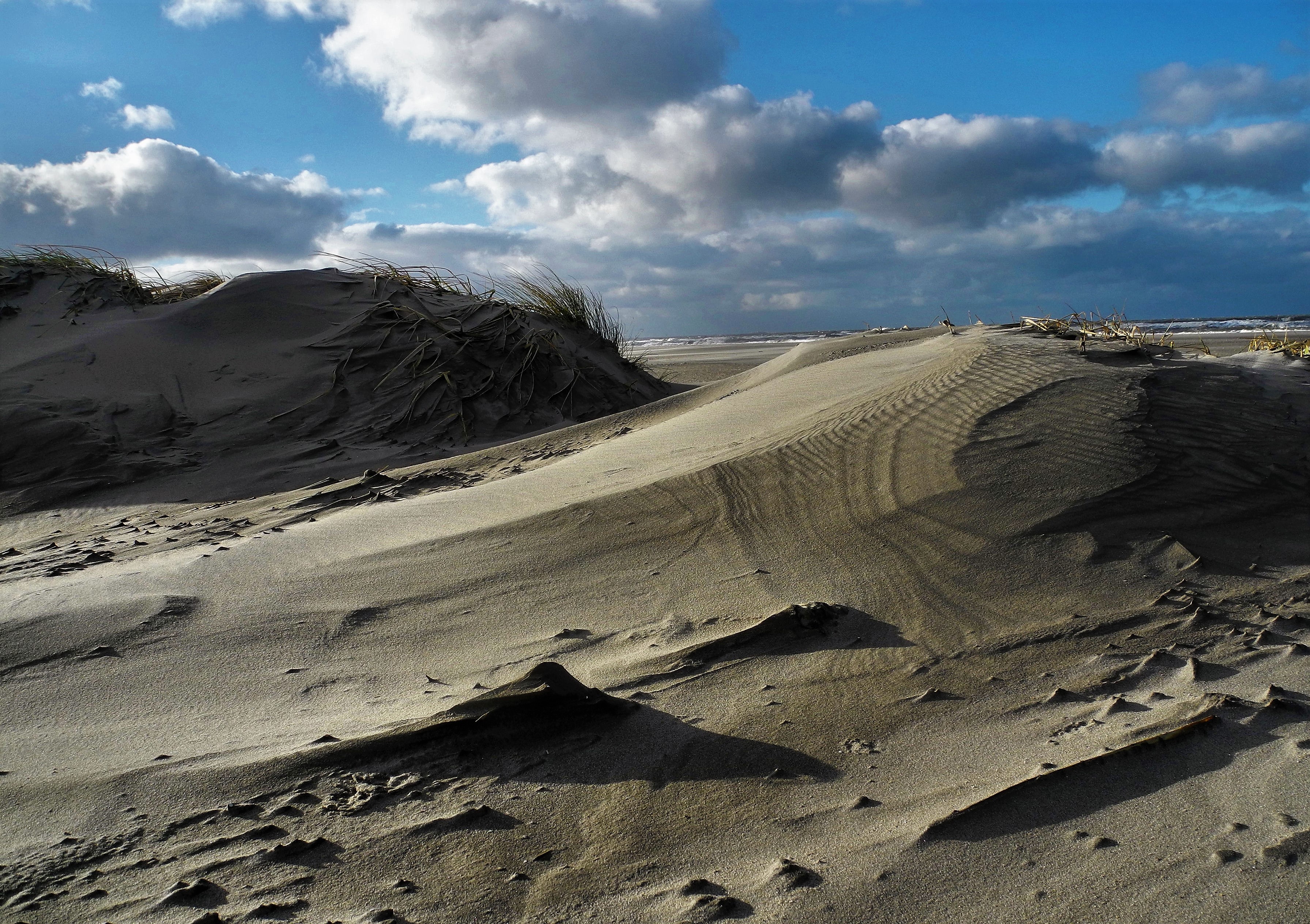 duinen-aan-de-noordzee-0