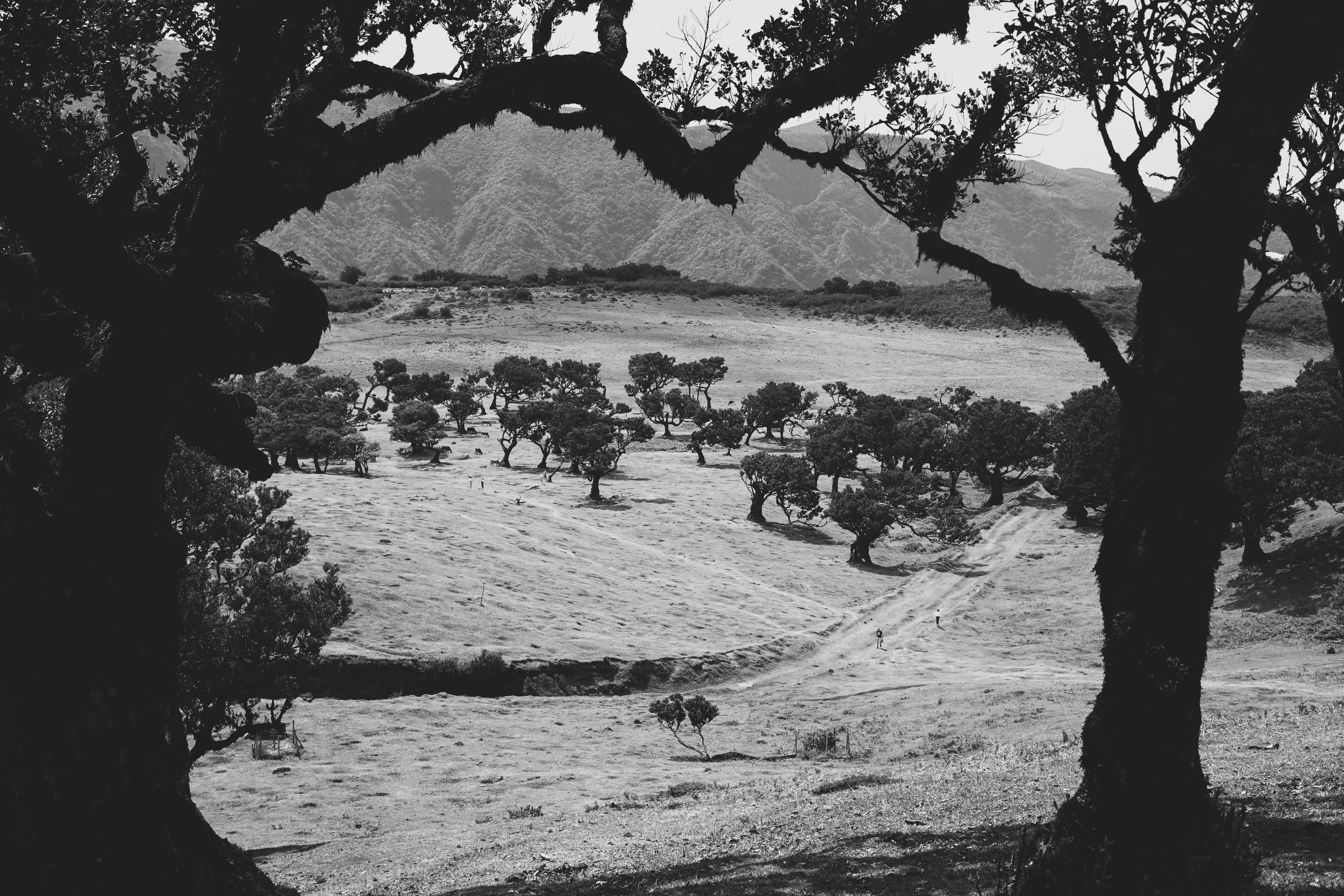 5-zwart-wit-fotografie-tips-wanneer-werkt-het