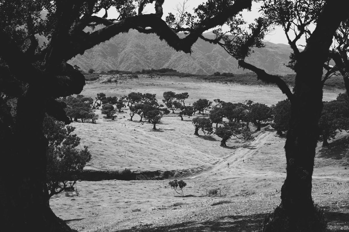 5-zwart-wit-fotografie-tips-wanneer-werkt-het