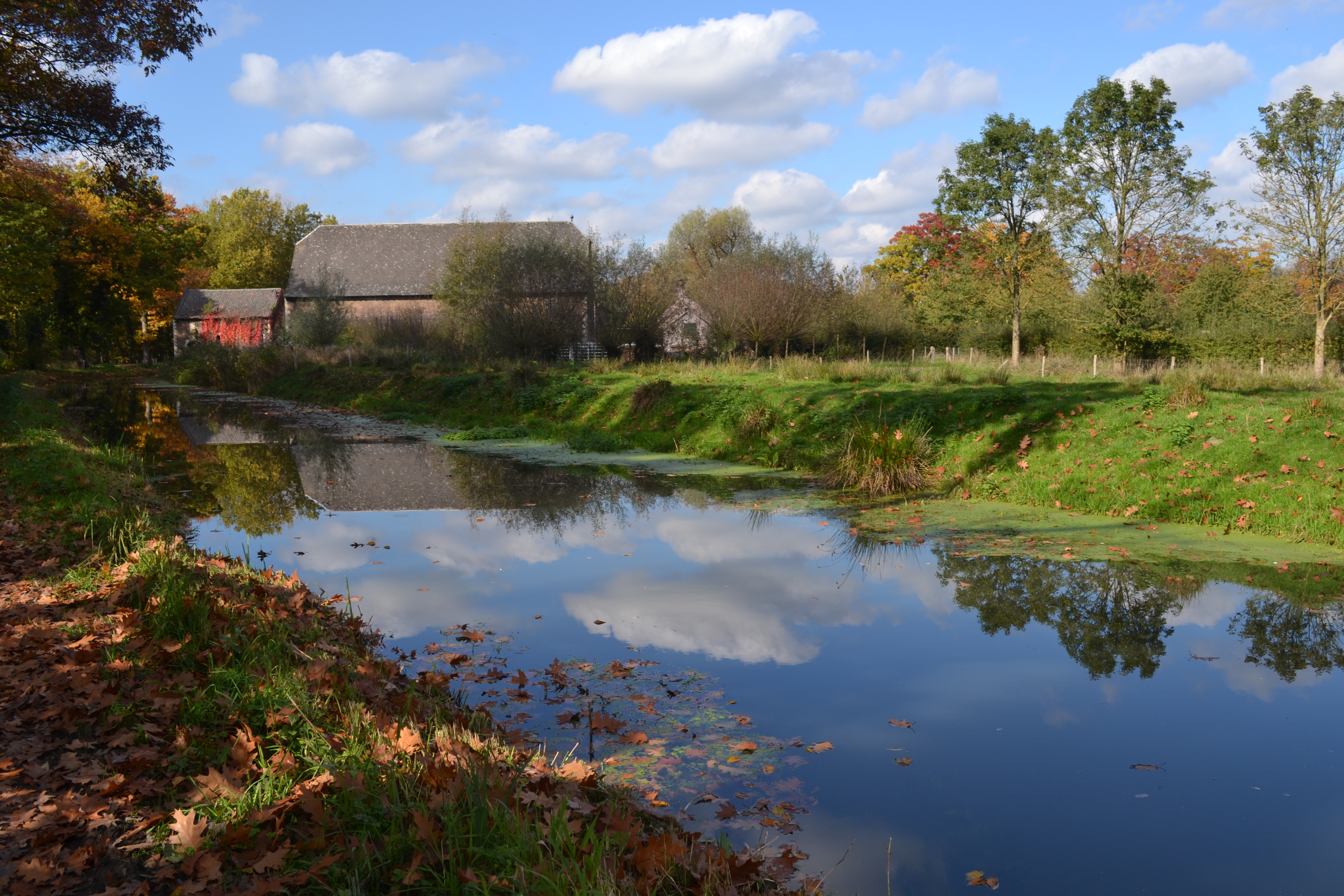 met-de-vallende-bladeren-aan-de-waterkant