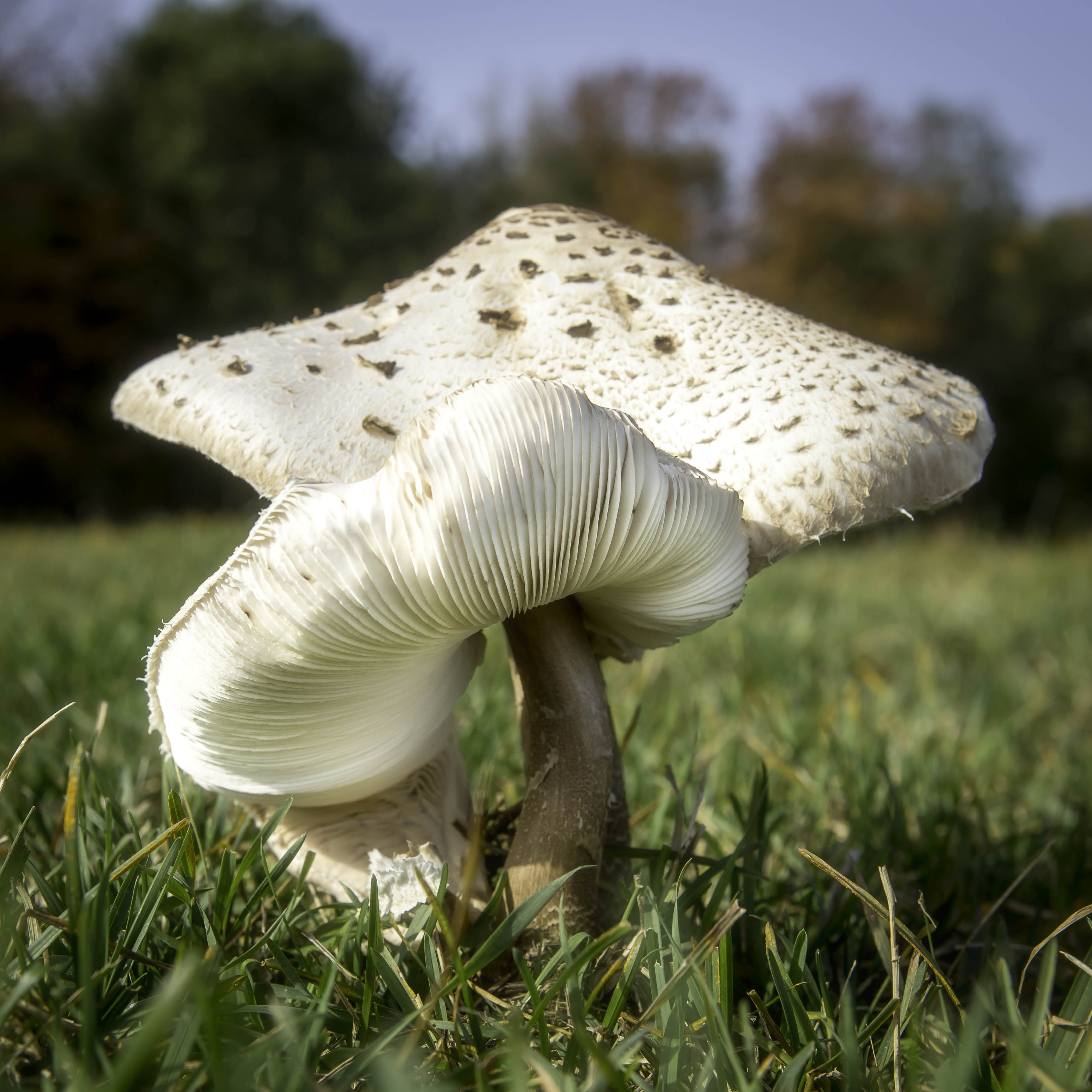 schuilen-kan-nog-wel