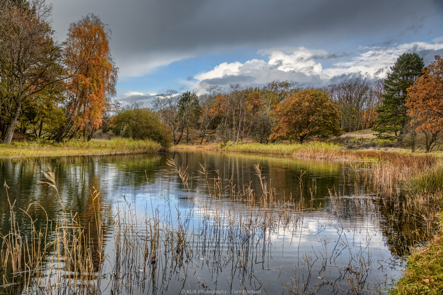 amsterdamse-waterleiding-duinen