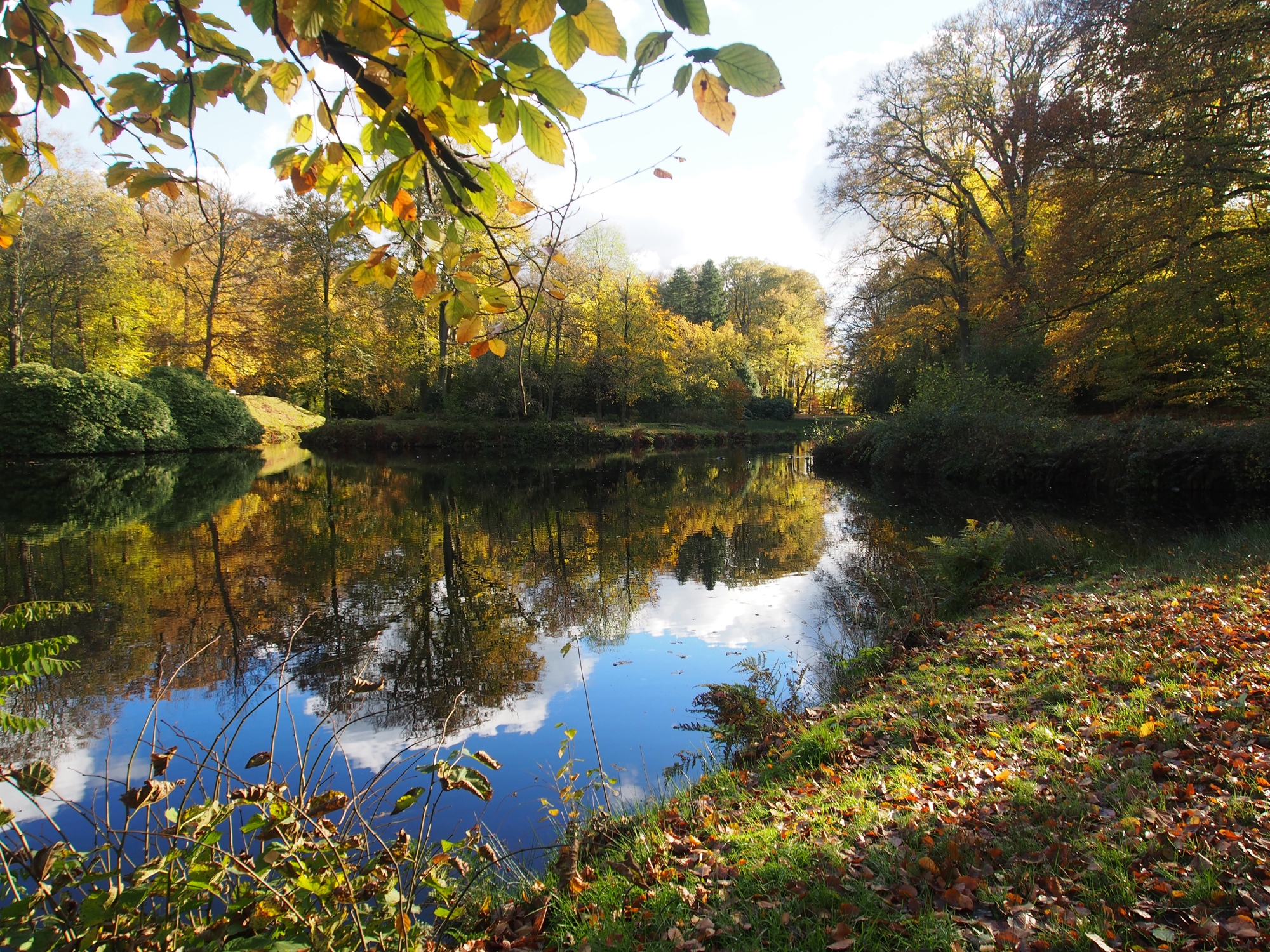herfst-in-de-braak-paterswolde