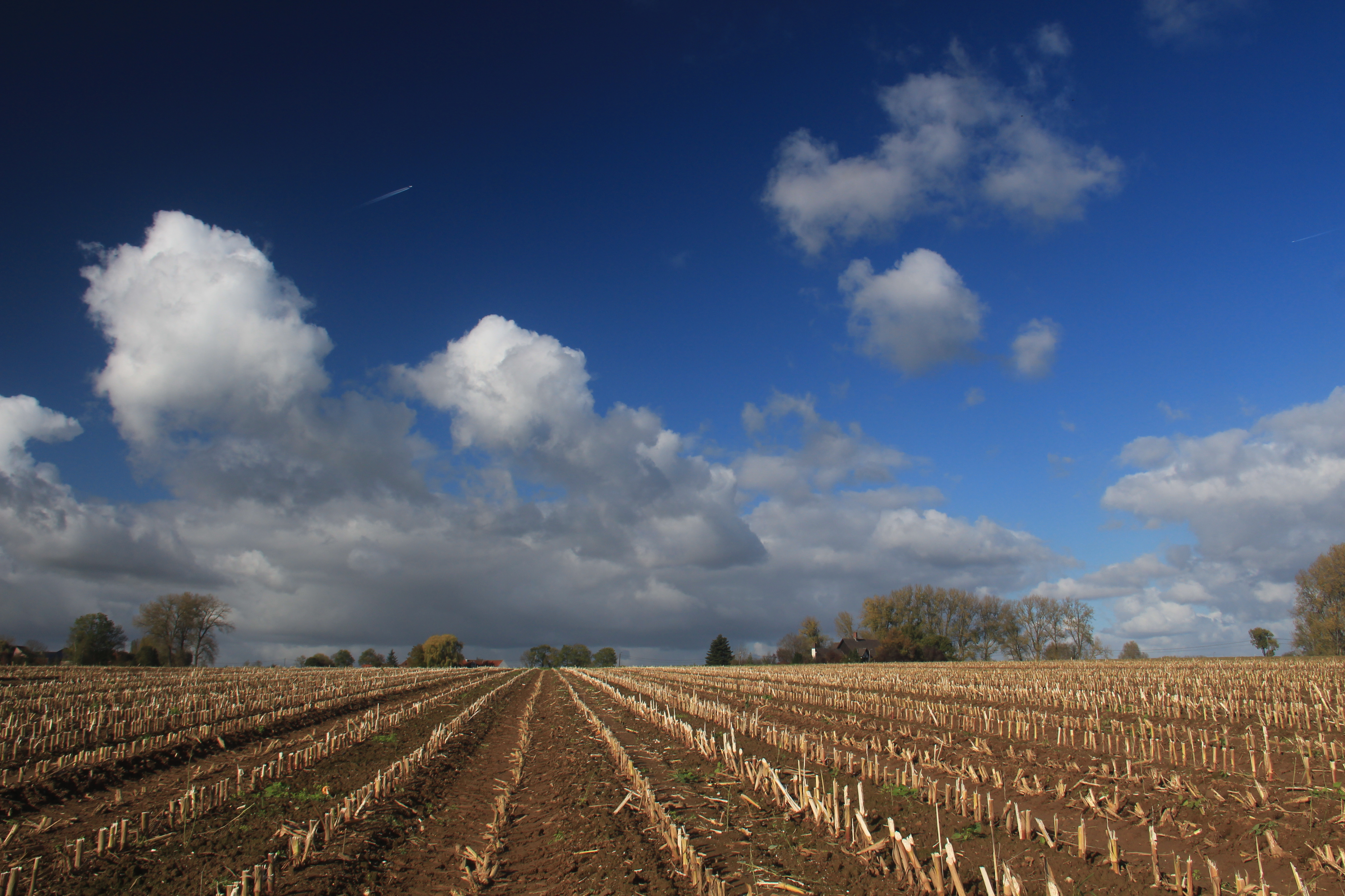de-velden-geschoren-weldra-de-winter-geboren
