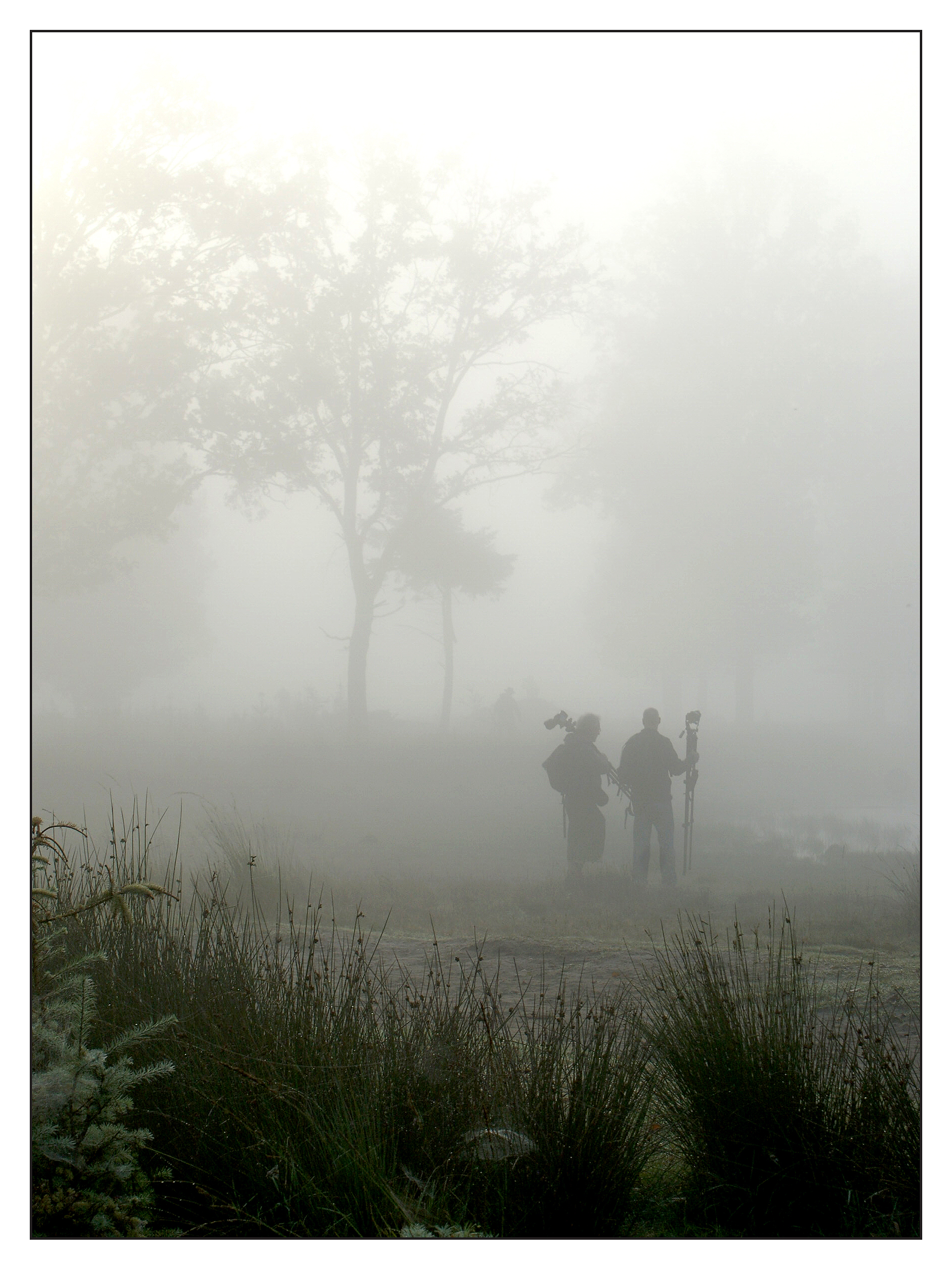 fotografen-in-de-mist
