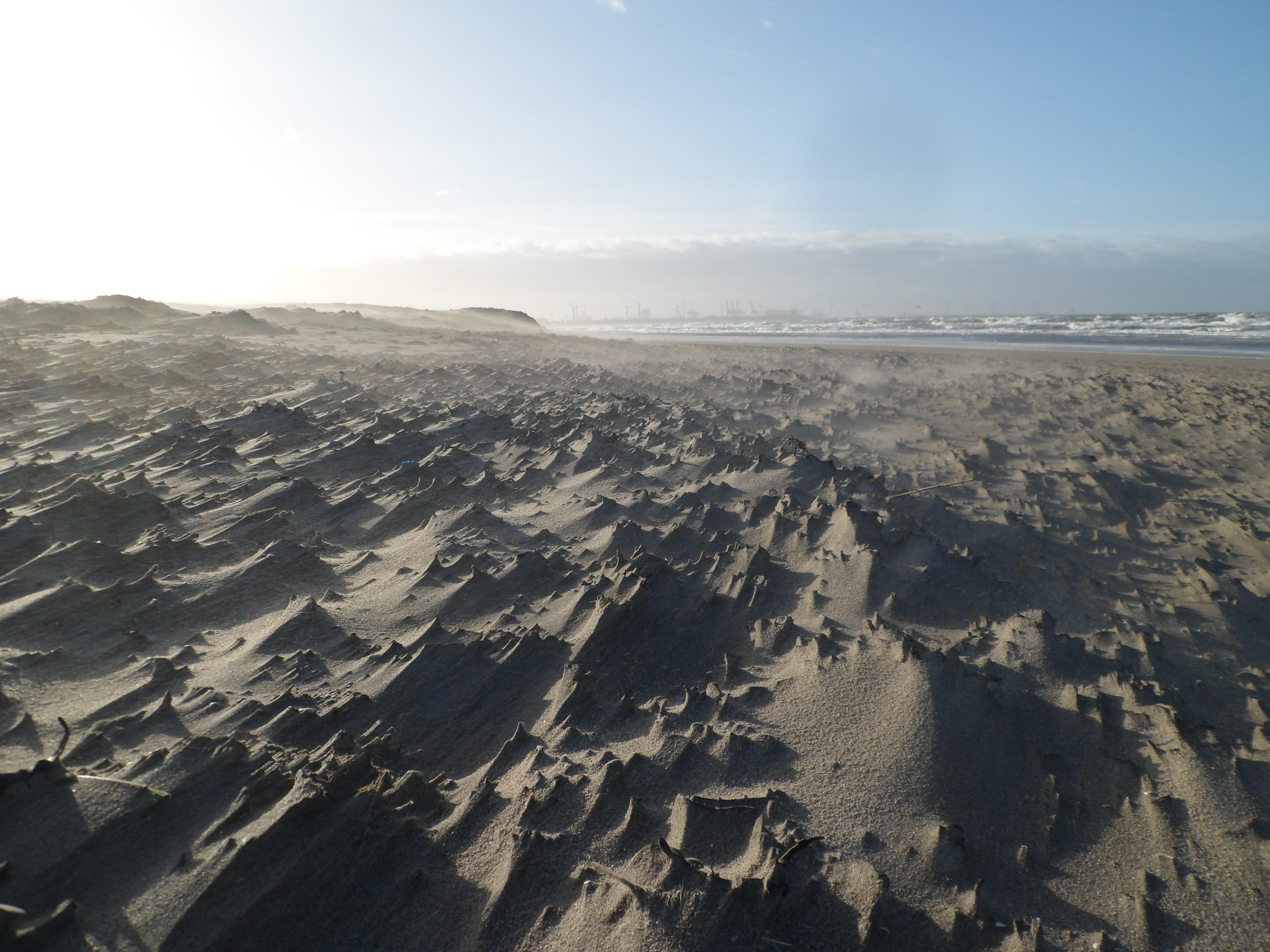 strand-hoek-van-holland