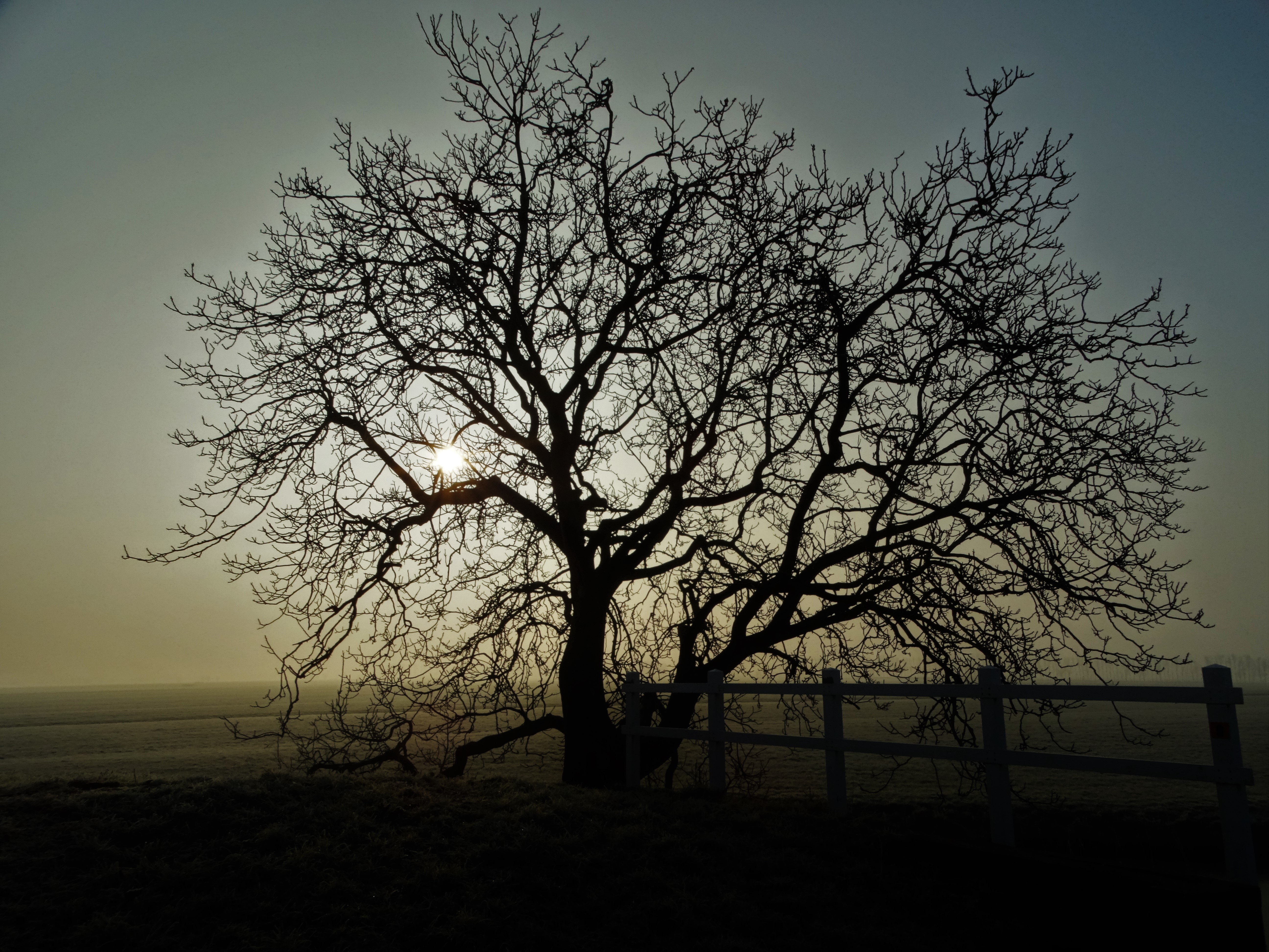 ochtend-week-opdracht