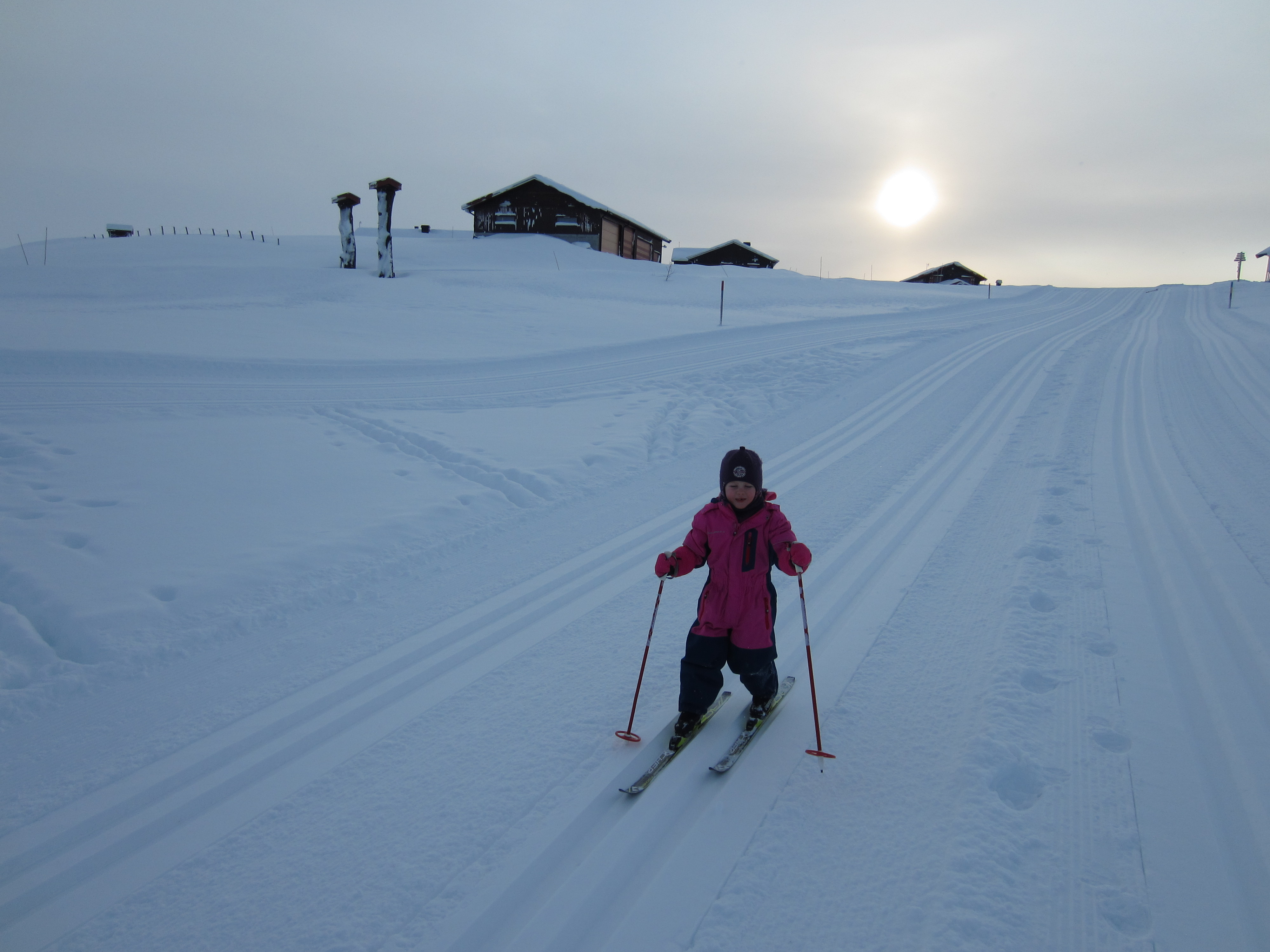 jong-geleerd-oud-gedaan-1