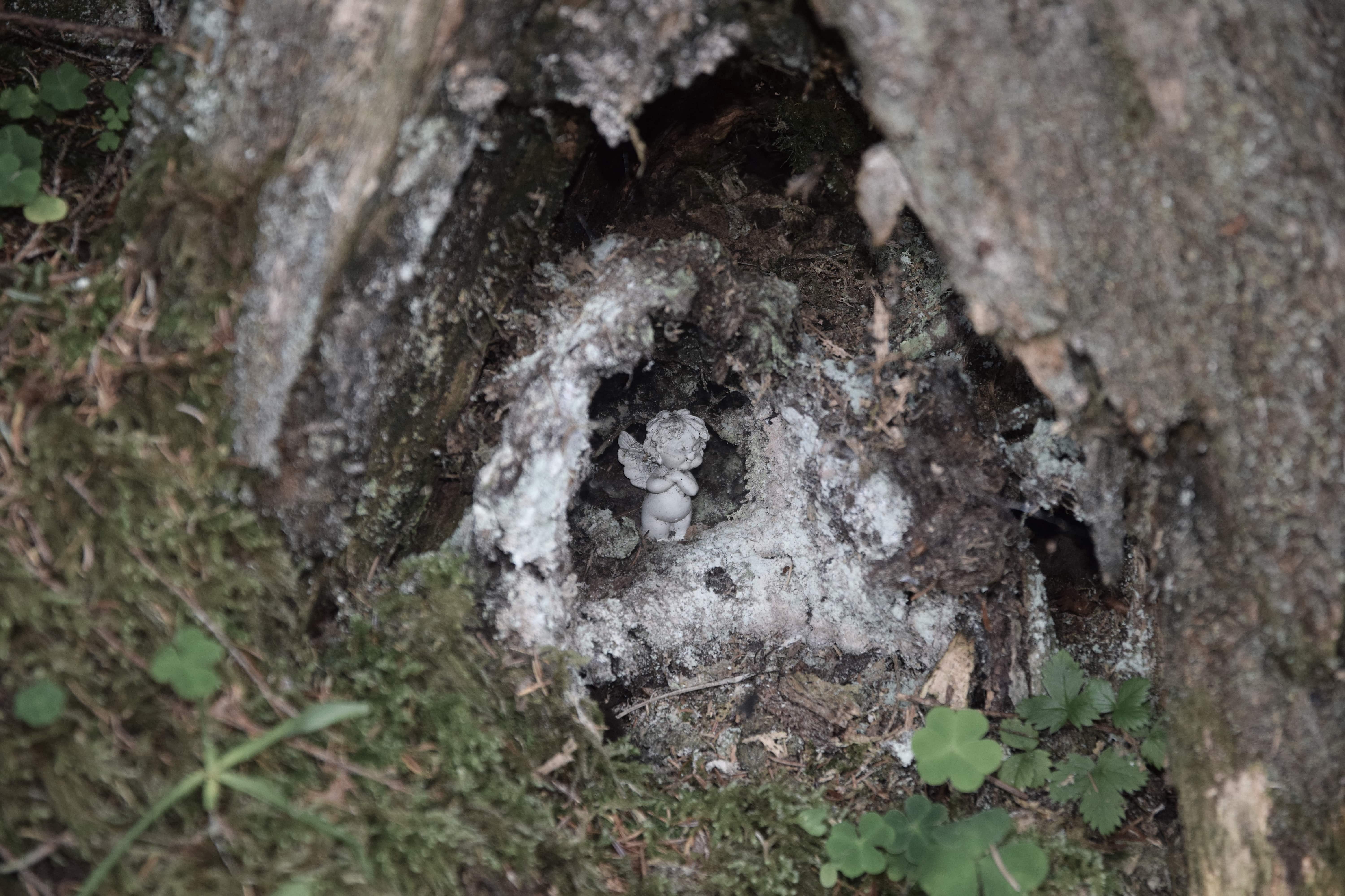 engel-in-de-donkere-stam-van-een-boom