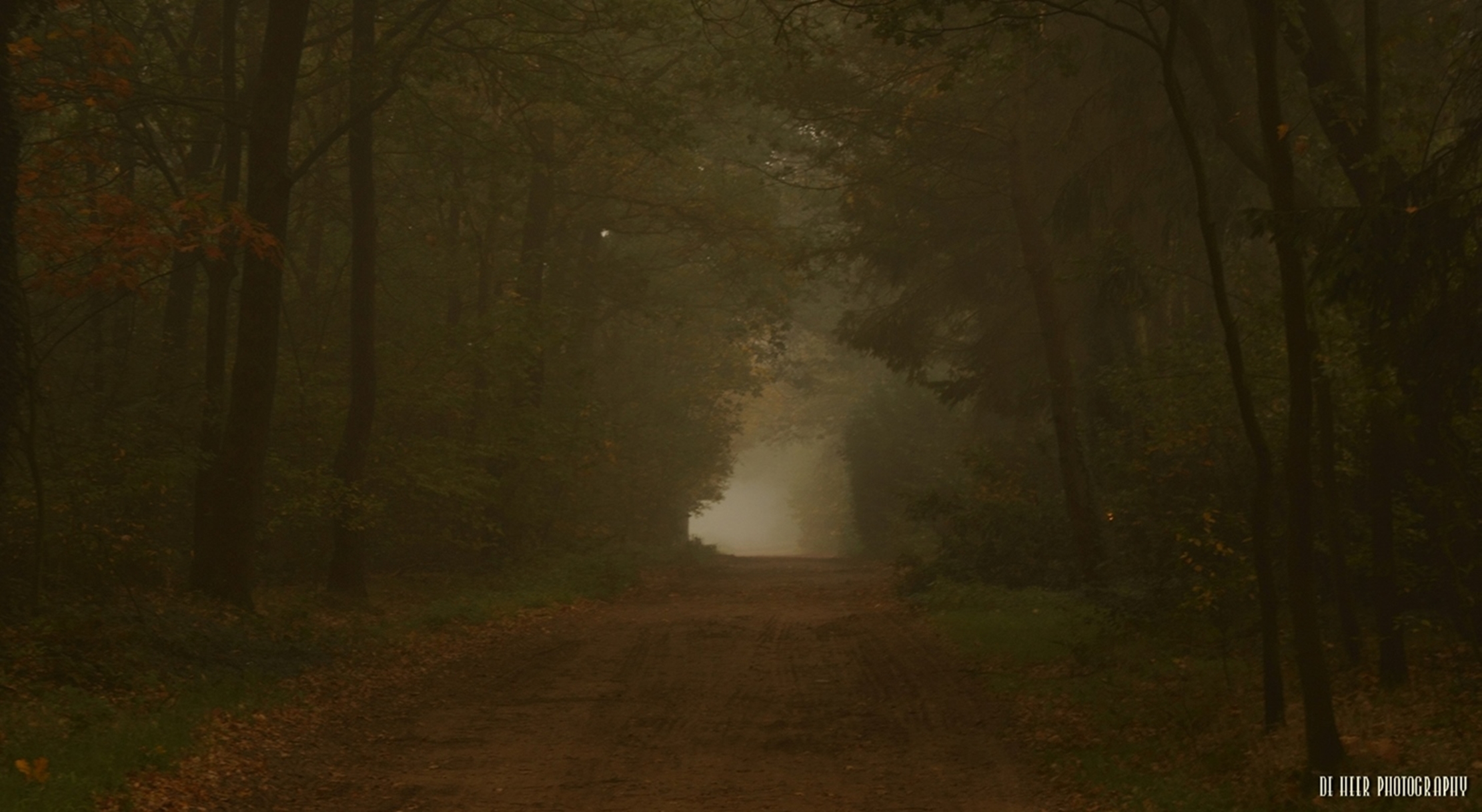 weert-18-okt-moeselpeel-in-de-vroege-mistige-morge