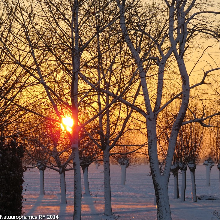 ondergaande-zon-boven-een-betoverend-winterlandschap