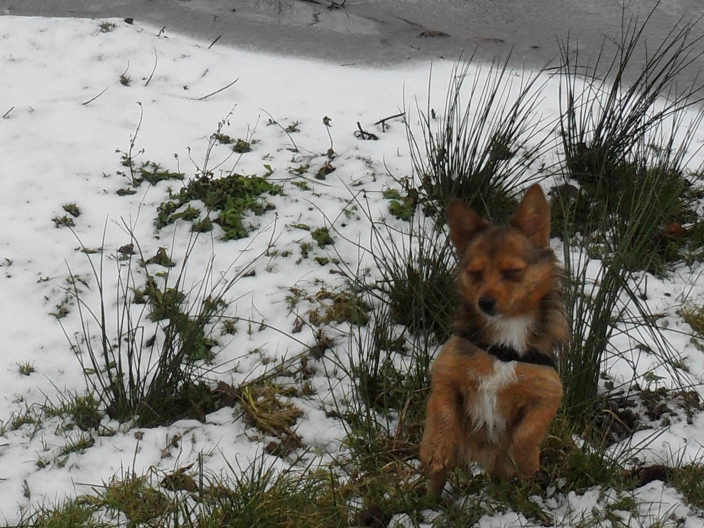 ella-voor-het-eerst-inde-sneeuw