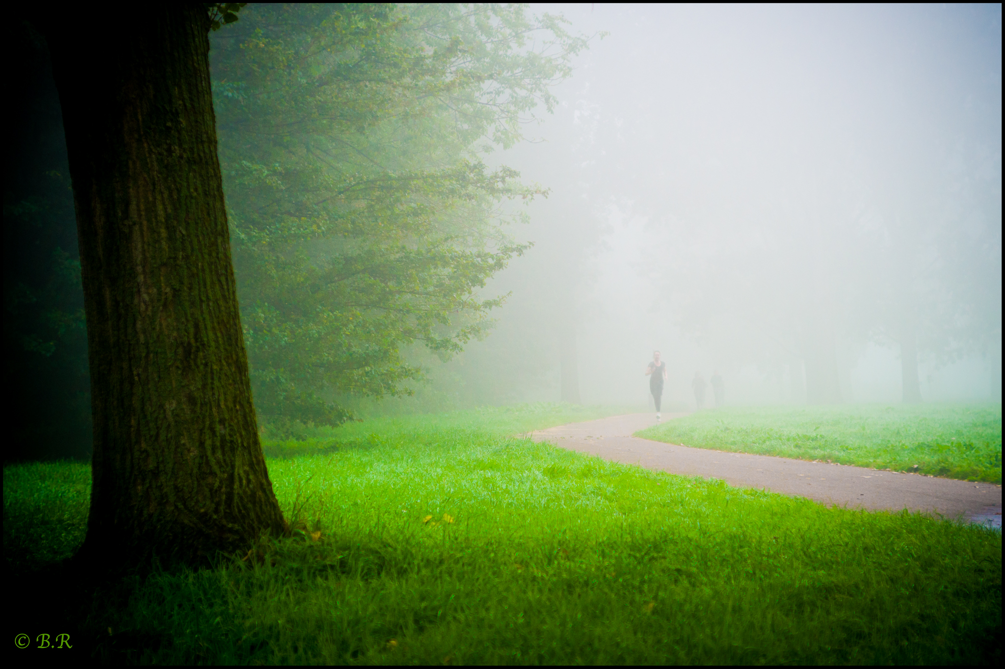 one-of-those-misty-mornings