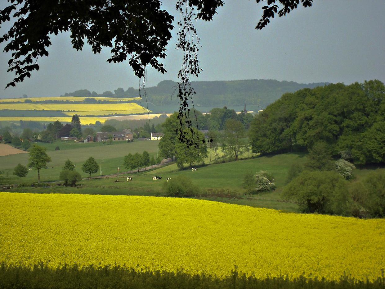 de-heuvels-van-nederland